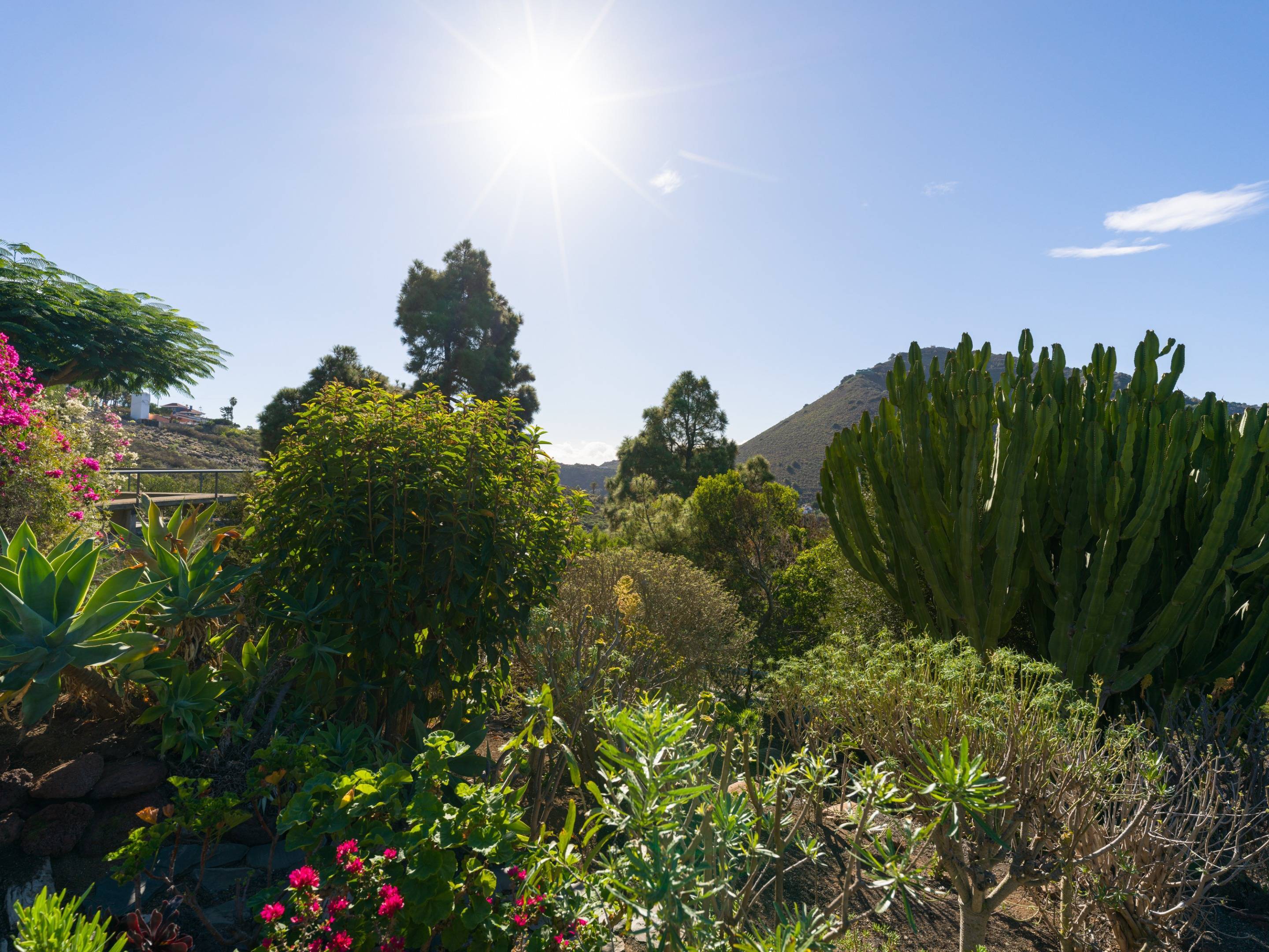 En venta encantador chalet en tafira!