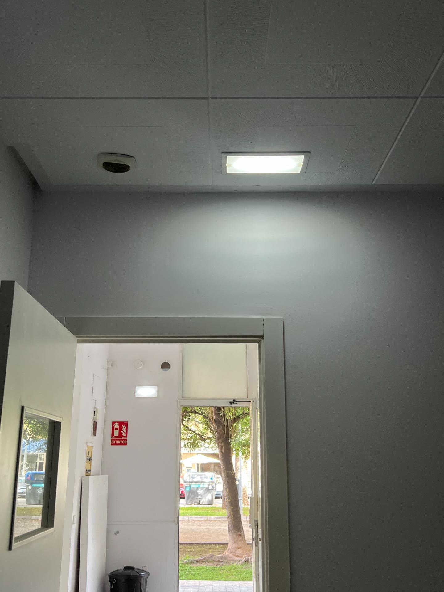 Negocios-Alquiler-Valencia-1887753-Foto-26