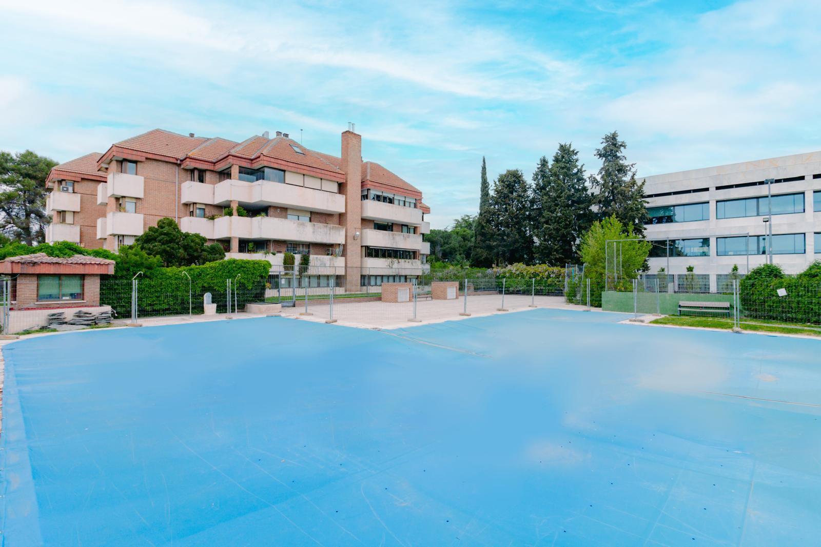 Pisos-Alquiler-Las Rozas de Madrid-2064779-Foto-25