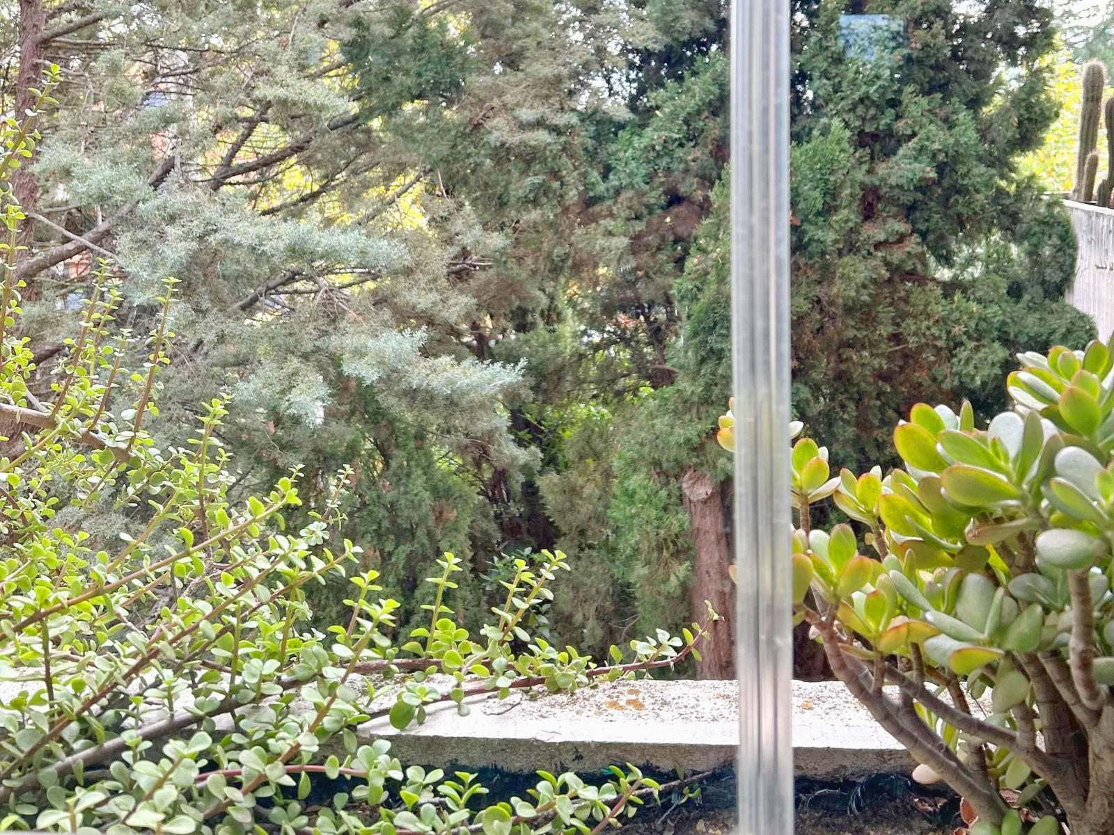 Pisos-Alquiler-Las Rozas de Madrid-2064779-Foto-27