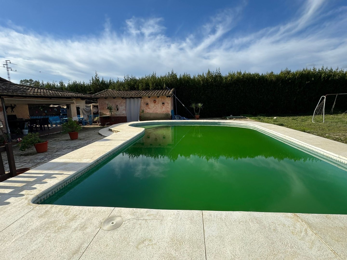 Casas o chalets-Venta-Pilas-2202078-Foto-7