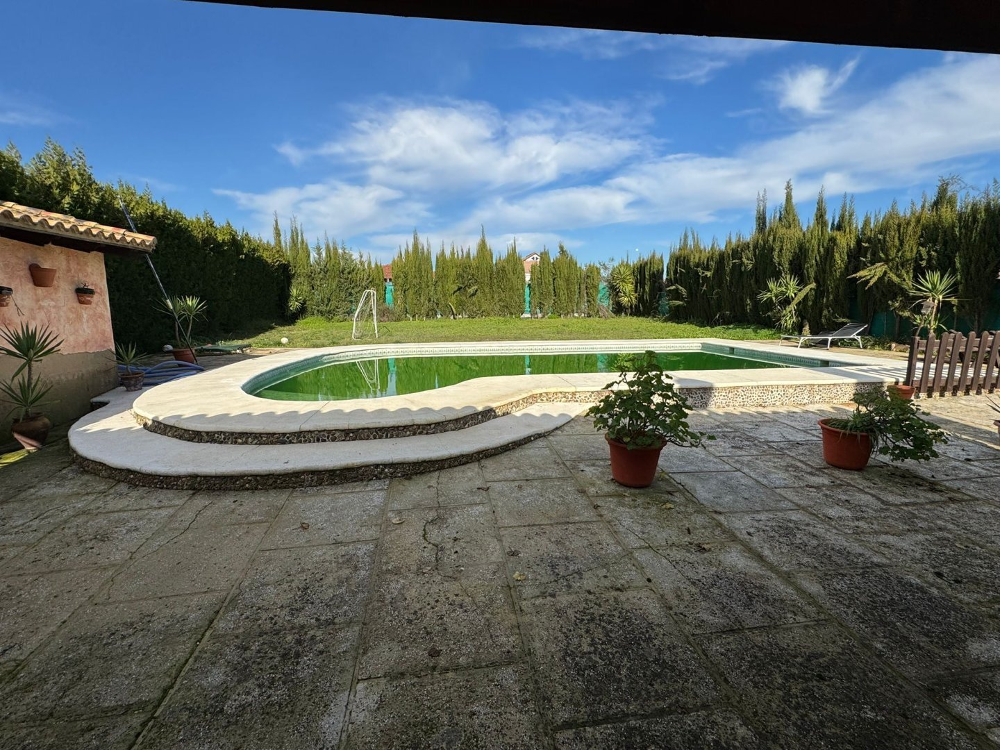 Casas o chalets-Venta-Pilas-2202078-Foto-9