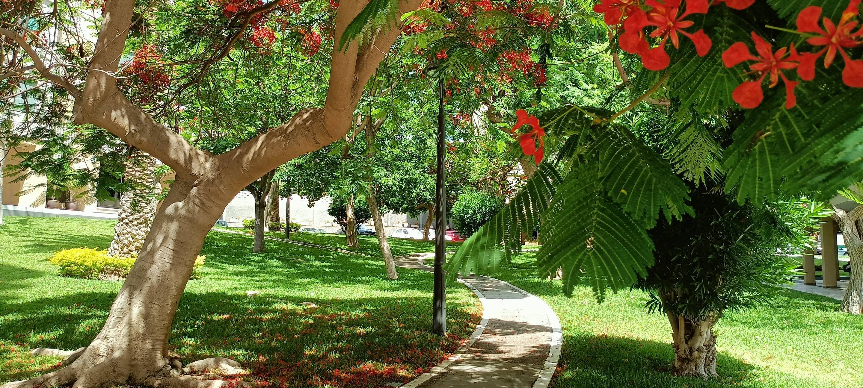 Piso en Santa Cruz de Tenerife