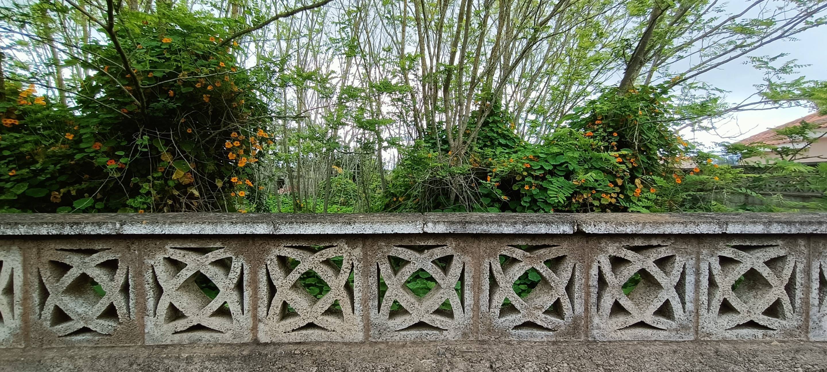 Fincas y solares-Venta-San CristÃ³bal de La Laguna-1747616-Foto-5