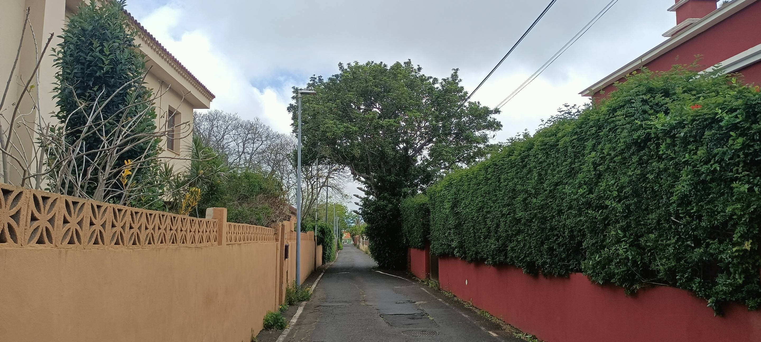 Fincas y solares-Venta-San CristÃ³bal de La Laguna-1747616-Foto-2