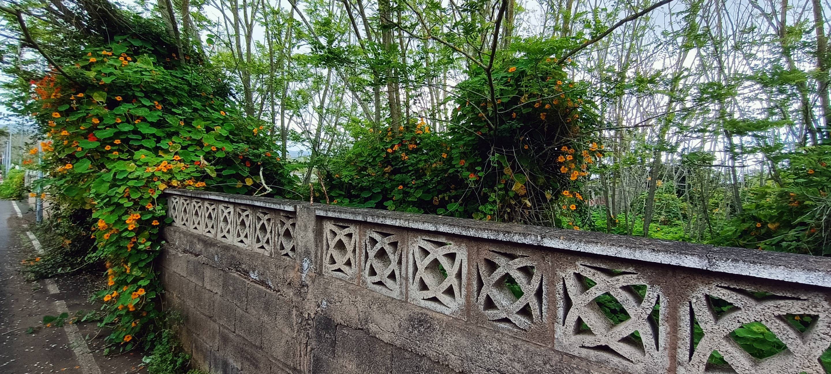 Fincas y solares-Venta-San CristÃ³bal de La Laguna-1747616-Foto-6