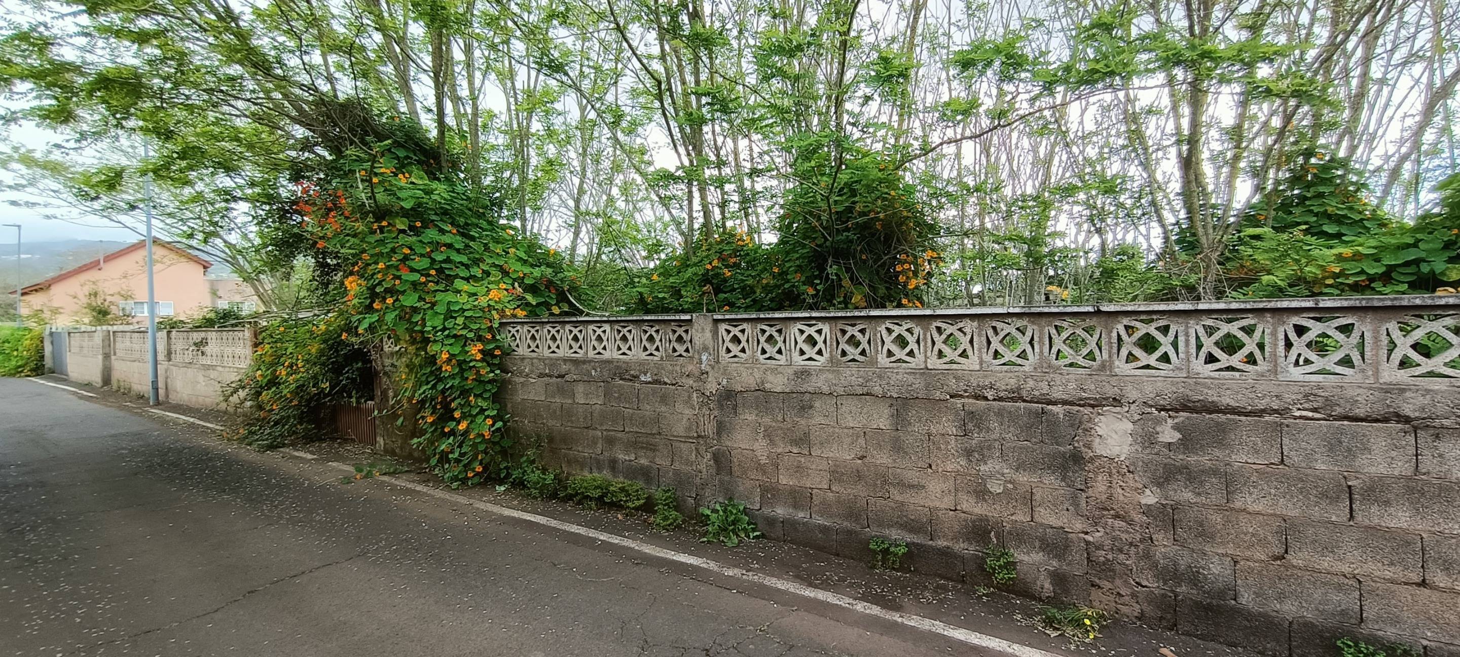 Fincas y solares-Venta-San CristÃ³bal de La Laguna-1747616-Foto-7