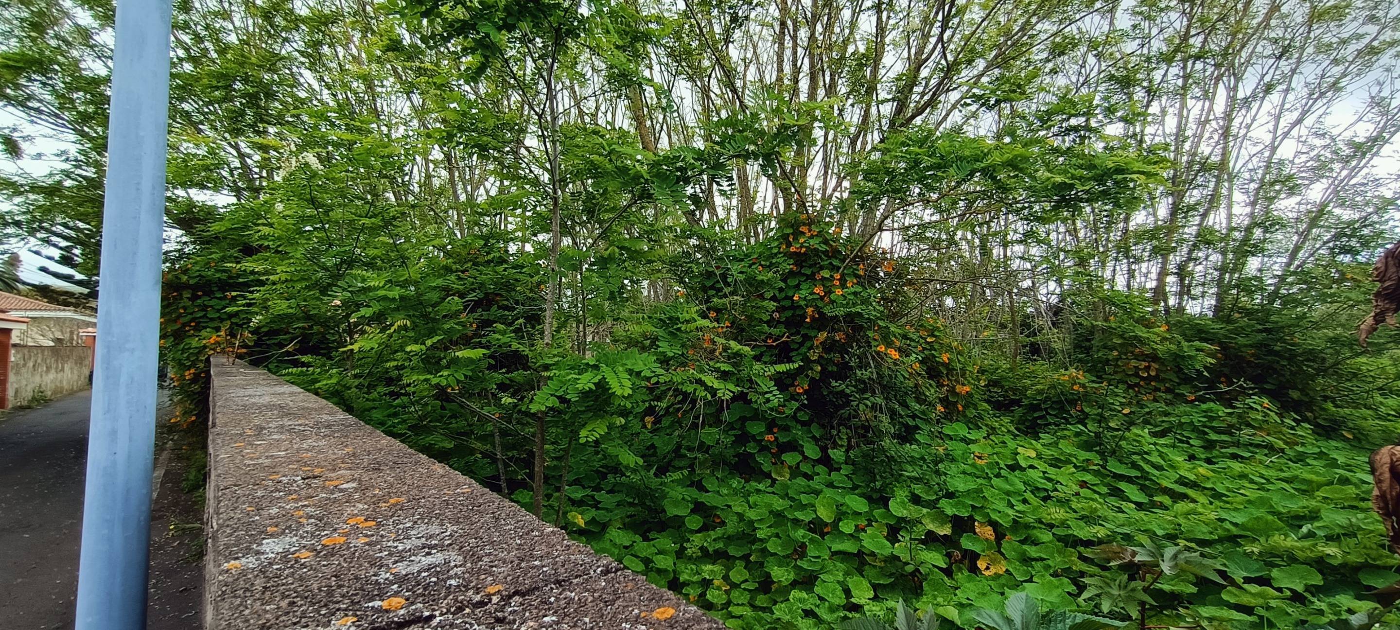 Fincas y solares-Venta-San CristÃ³bal de La Laguna-1747616-Foto-12