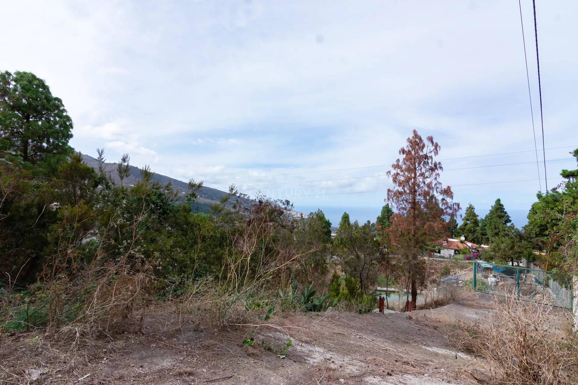 Finca Rustica en Icod de los Vinos