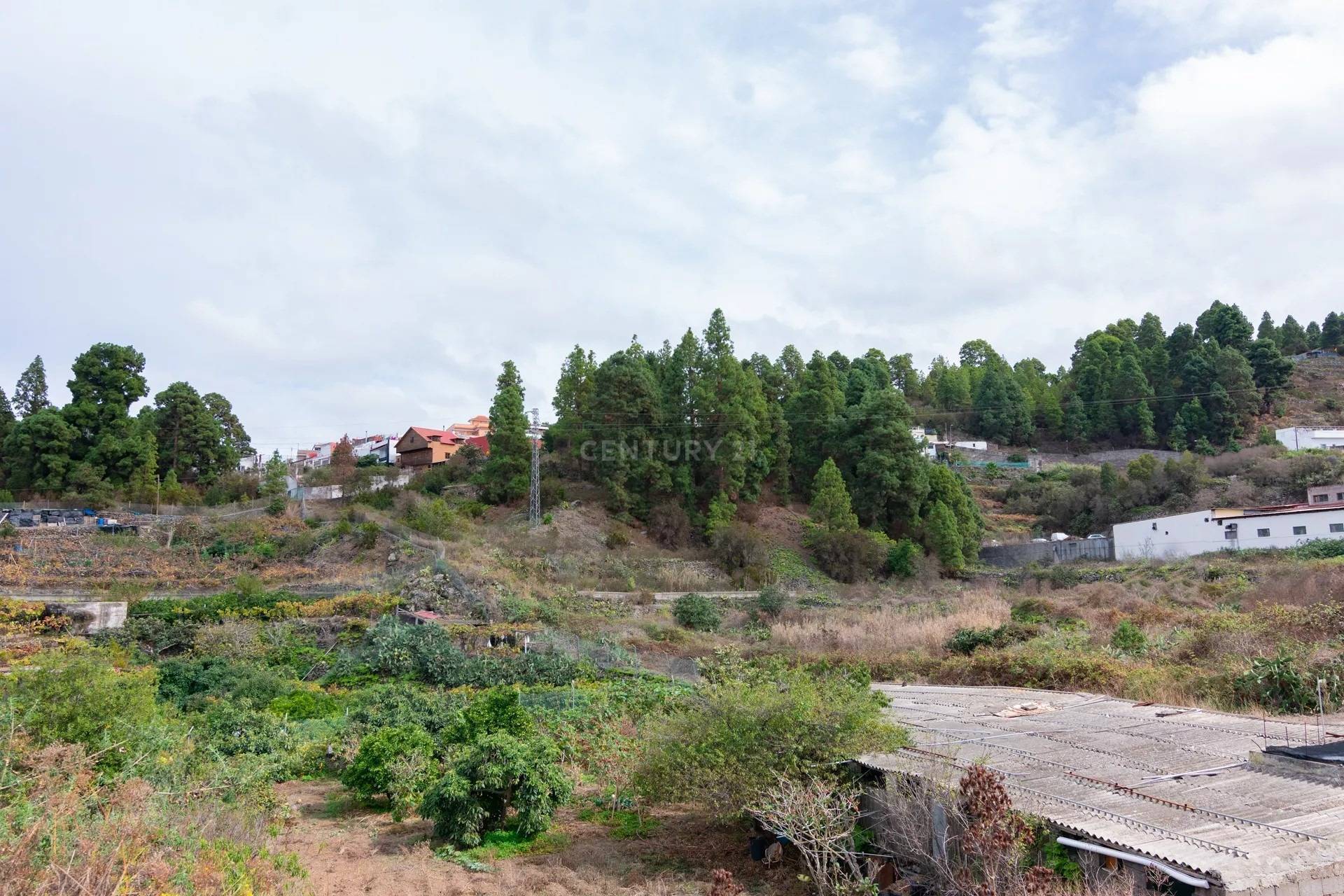 Finca Rustica en Icod de los Vinos