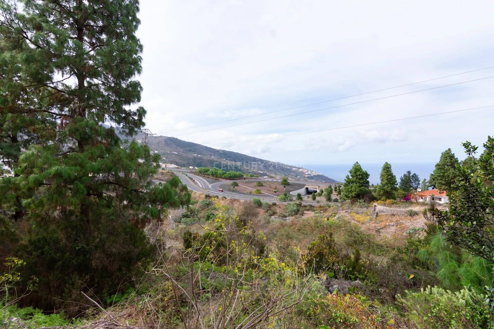 Finca Rustica en Icod de los Vinos