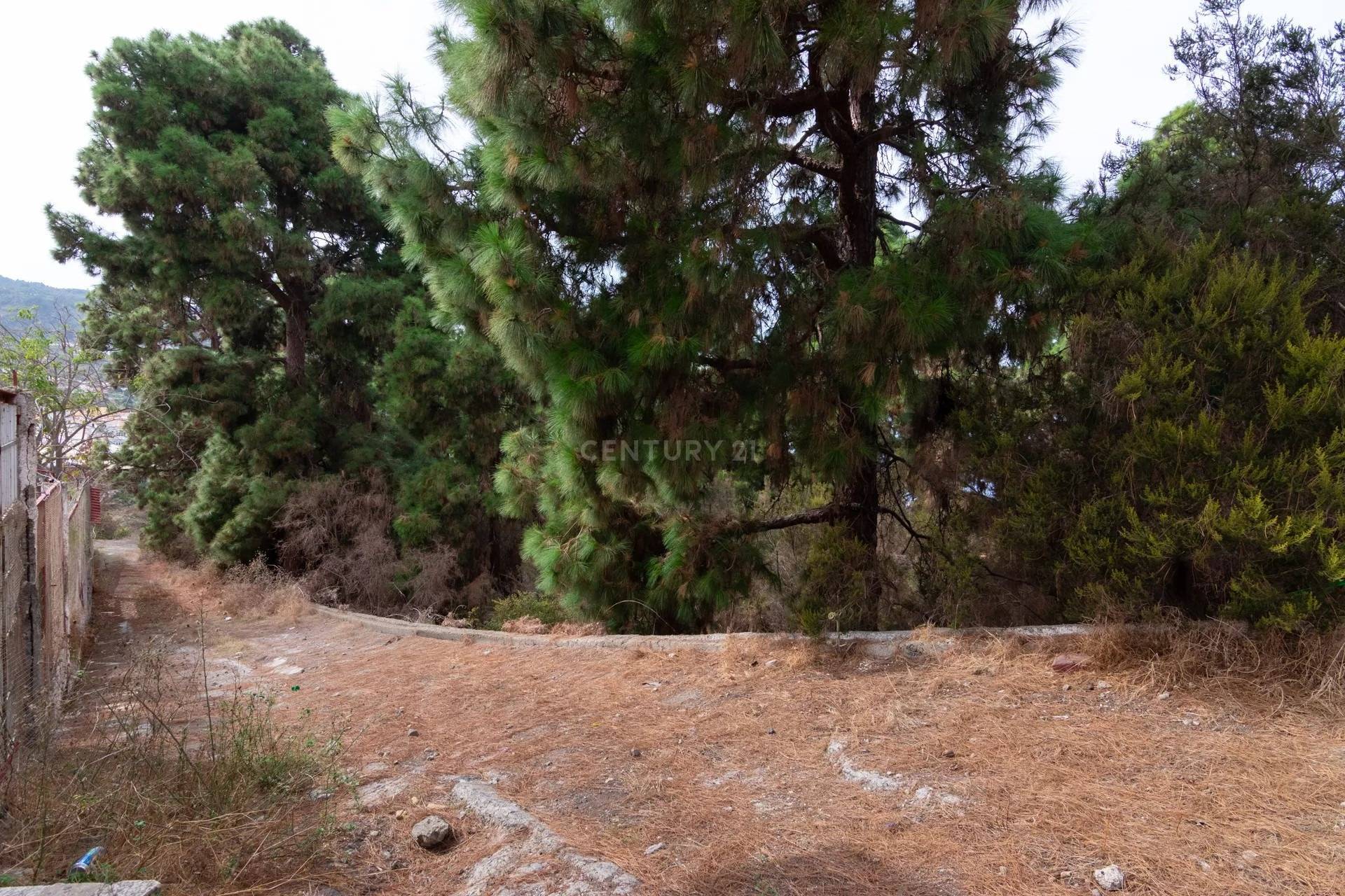 Finca Rustica en Icod de los Vinos