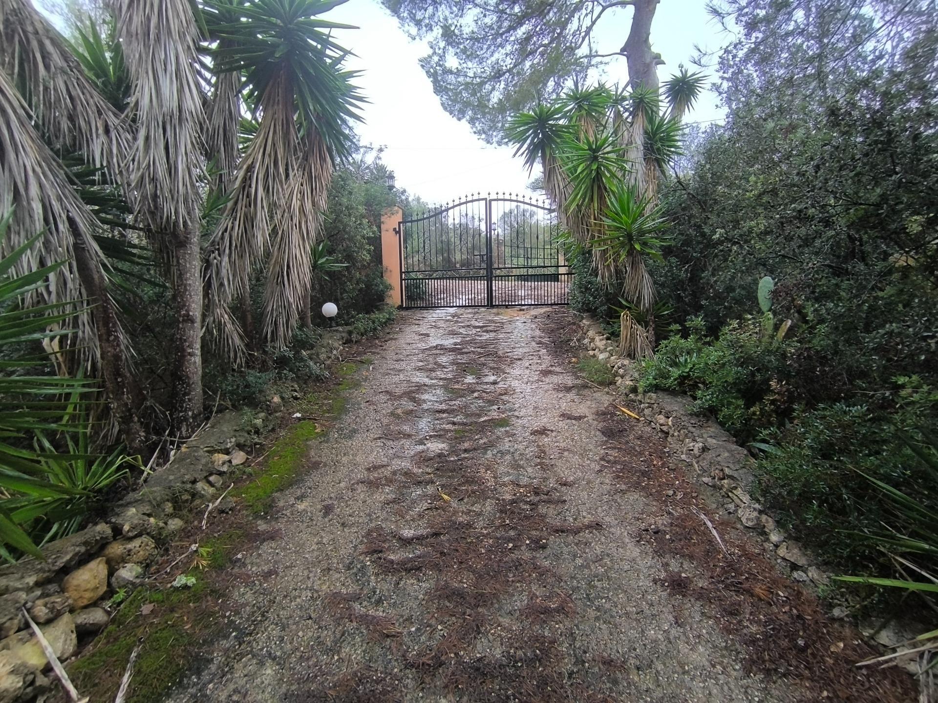 Oportunidad Exclusiva: Finca Rústica en el corazón de Mallorca con piscina, pozo y luz de gesa