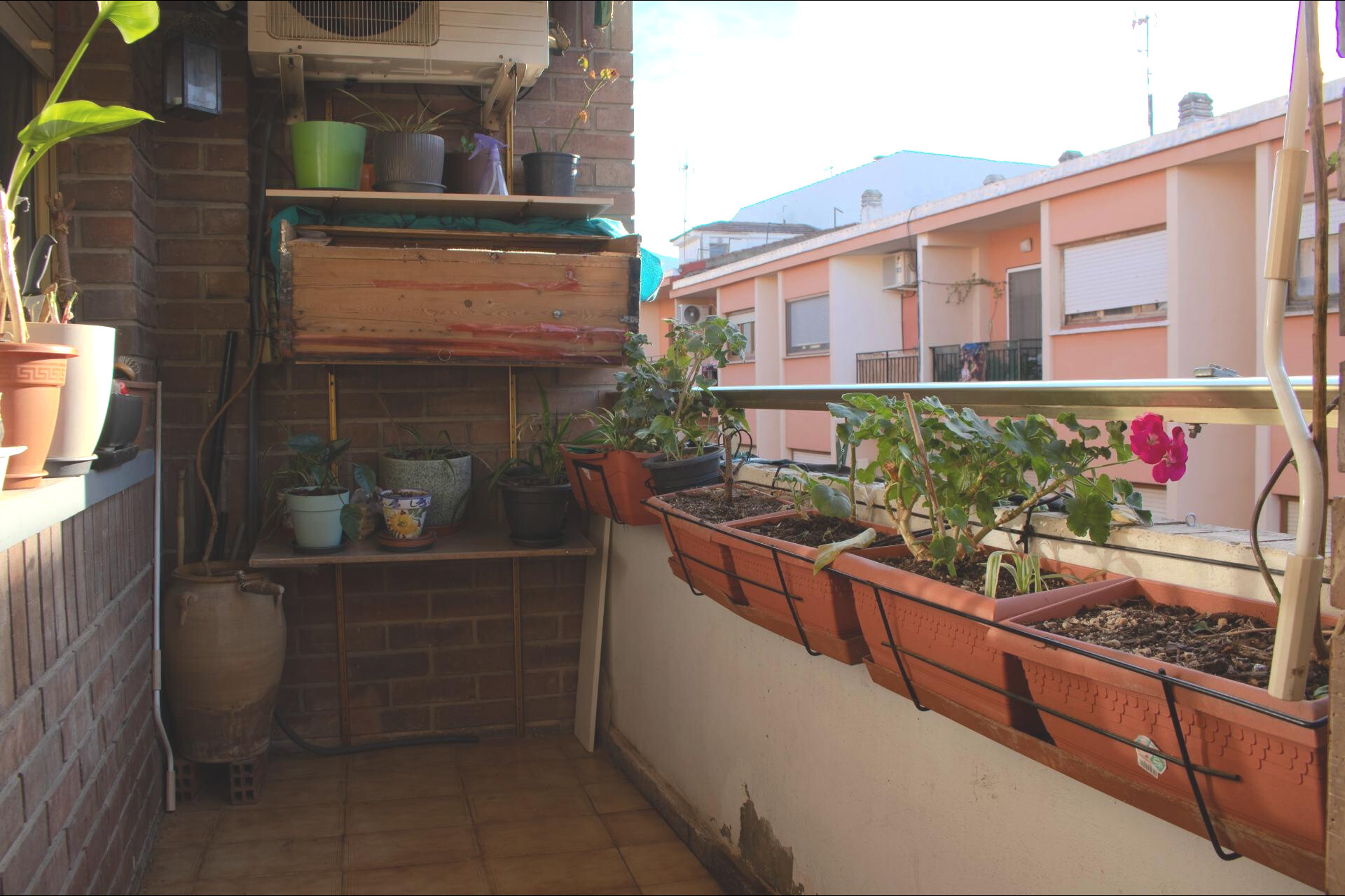 Pisos-Venta-Biar-2036144-Foto-2