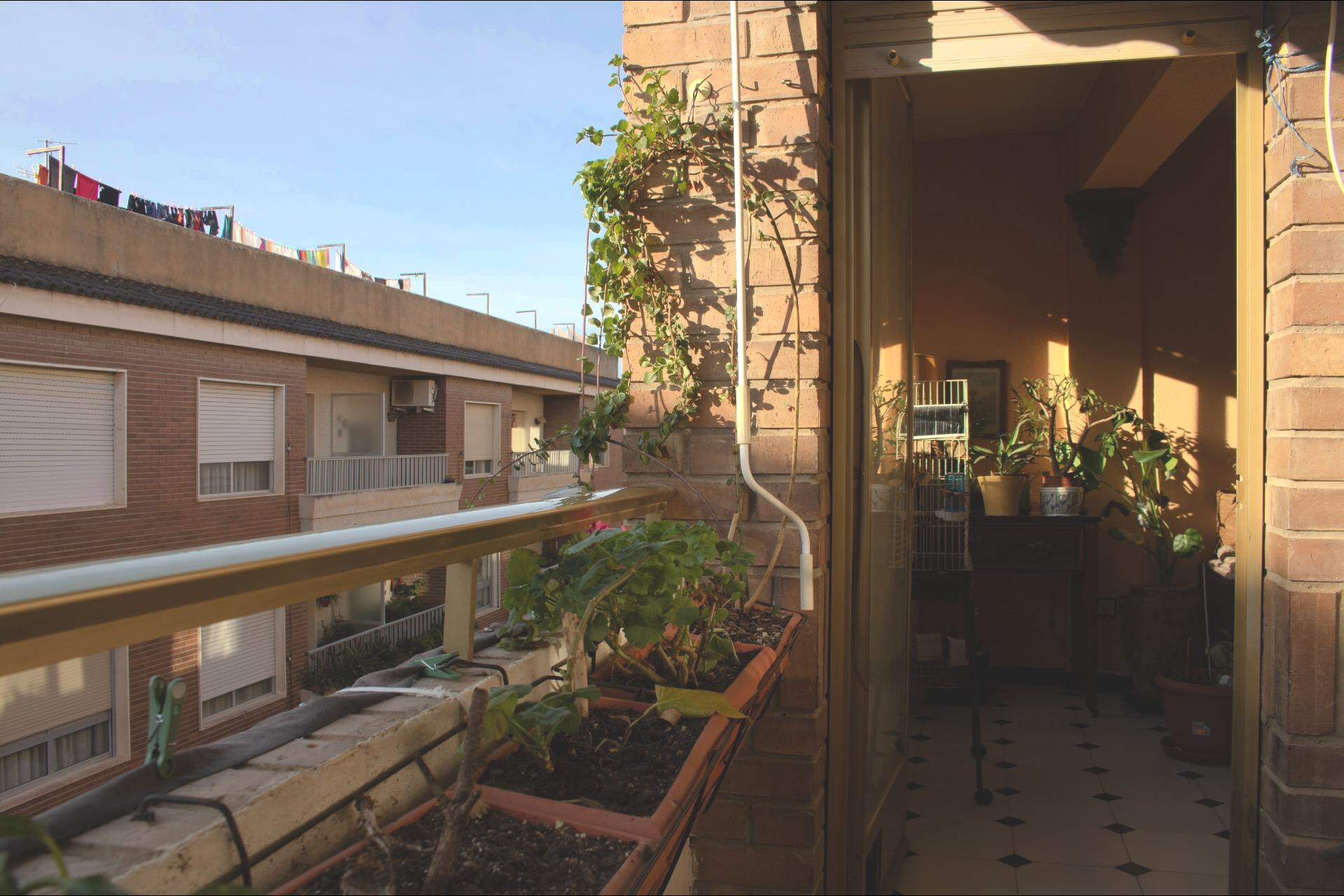 Pisos-Venta-Biar-2036144