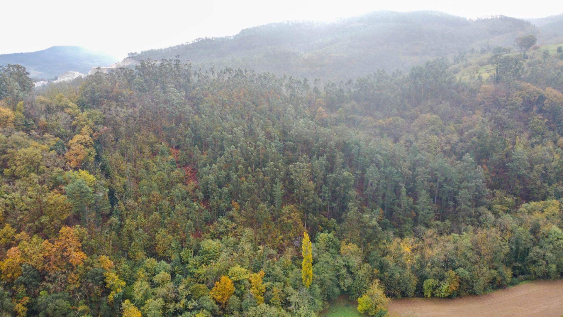 Casas o chalets-Venta-Salas-2036147-Foto-52