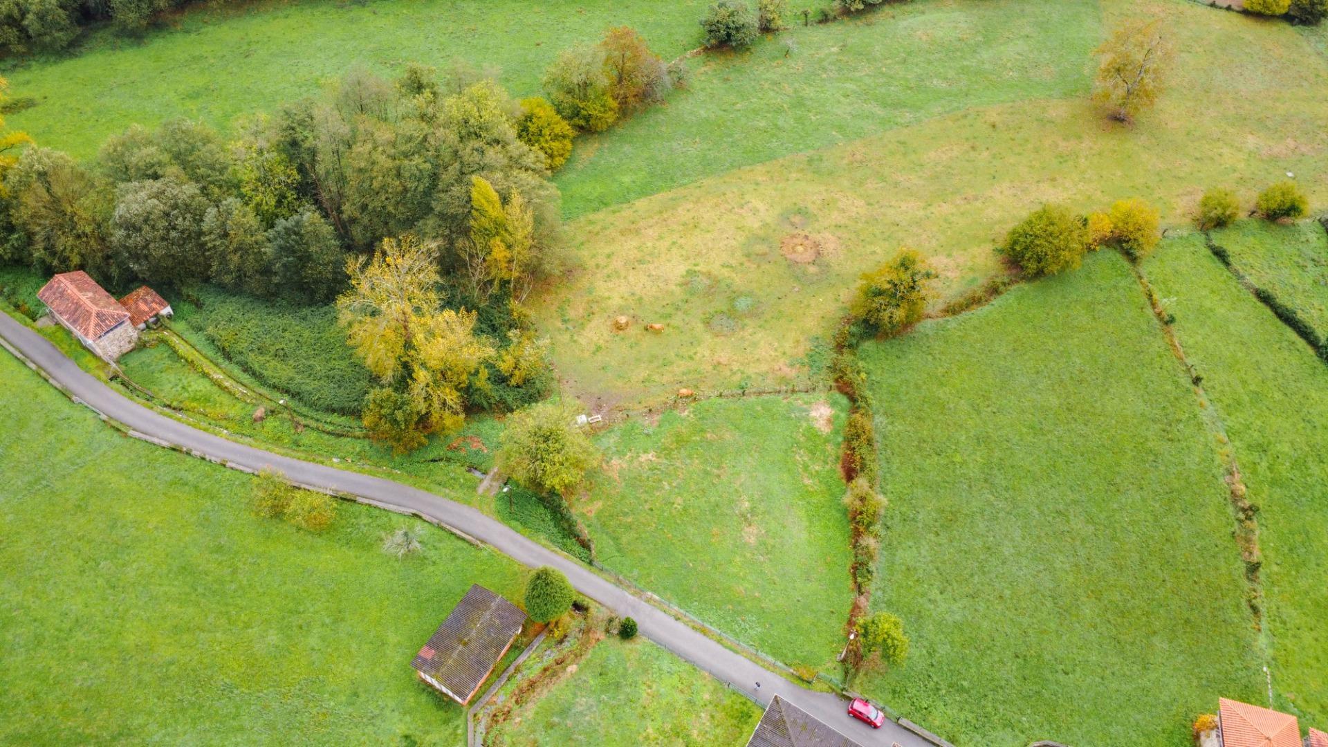 Casas o chalets-Venta-Salas-2036147-Foto-62