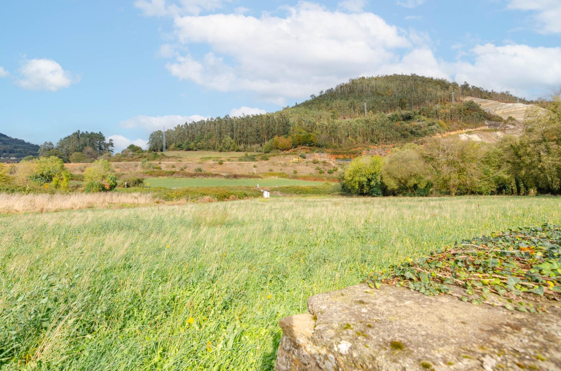 Casas o chalets-Venta-Salas-2036147-Foto-75