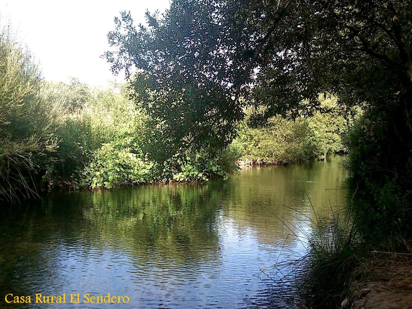 Impresionante finca edificable cerca de Málaga
