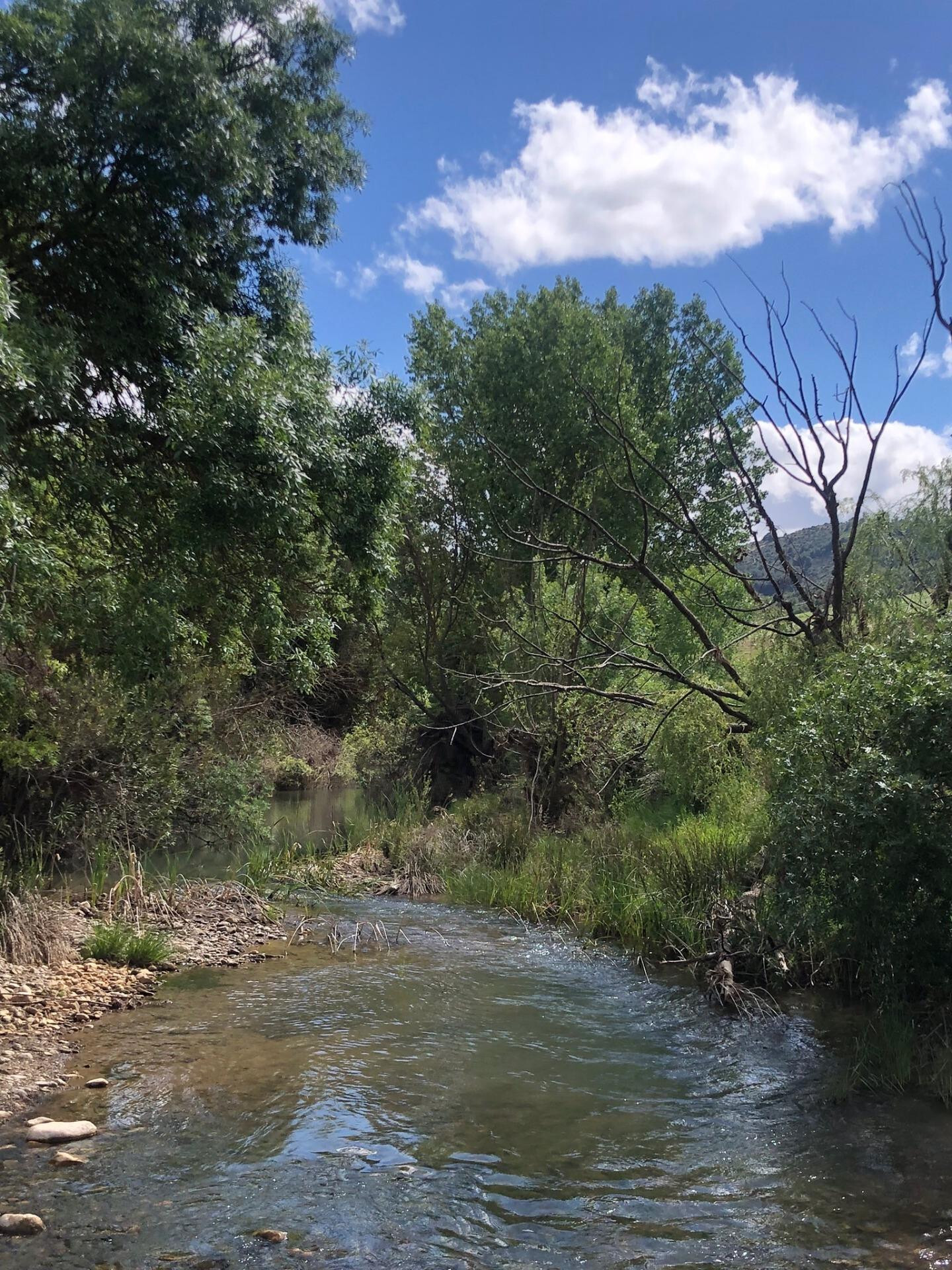 Impresionante finca edificable cerca de Málaga