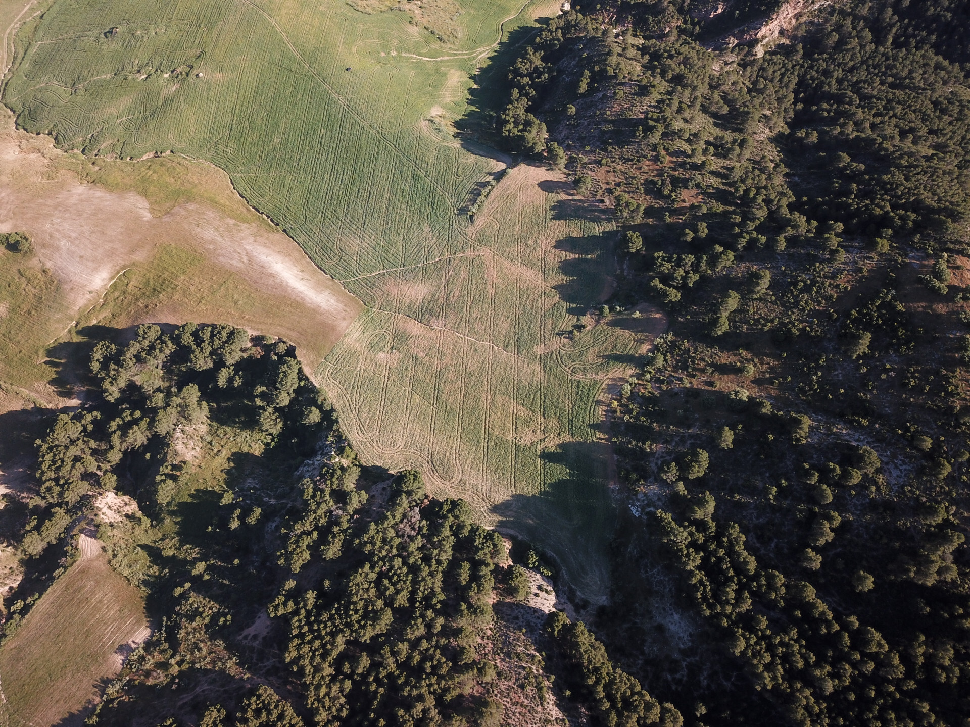 Impresionante finca edificable cerca de Málaga