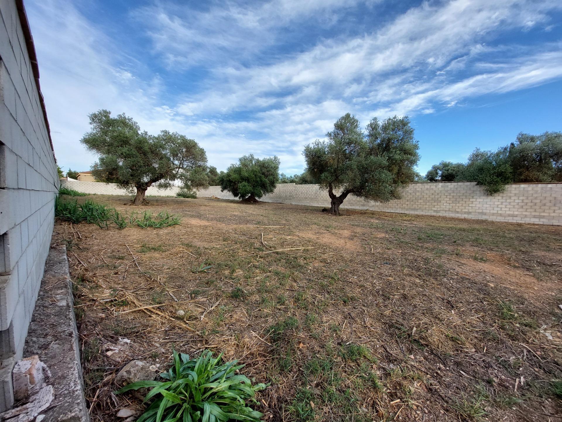 Fincas y solares-Venta-Dos Hermanas-1793318-Foto-3