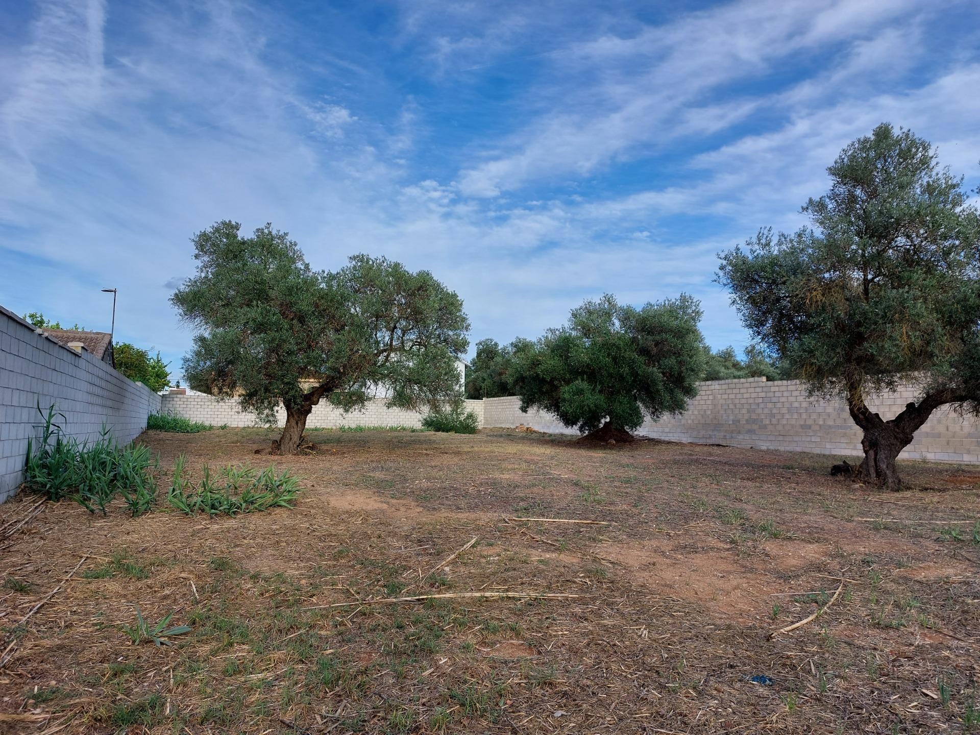 Fincas y solares-Venta-Dos Hermanas-1793318-Foto-2