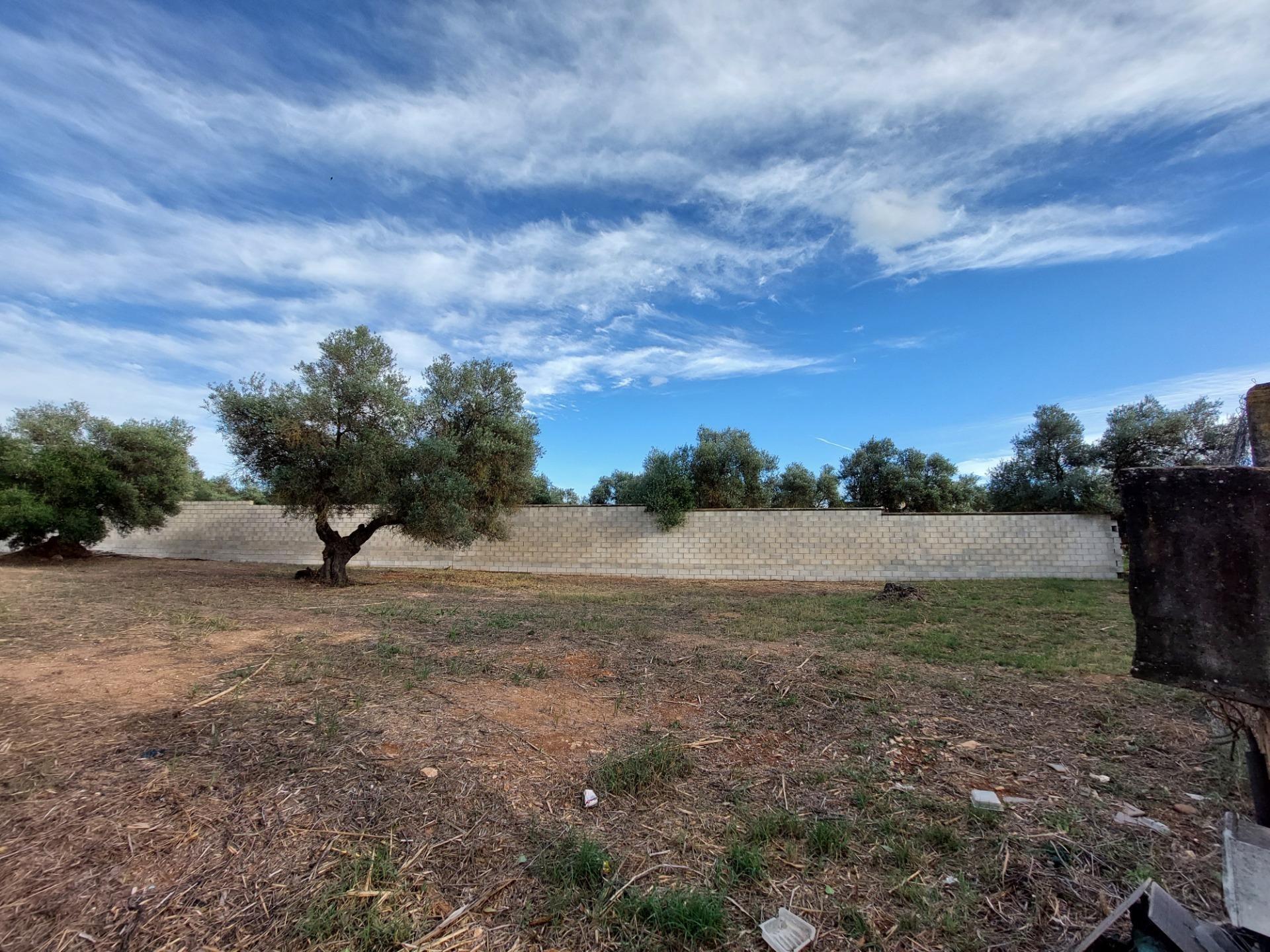 Fincas y solares-Venta-Dos Hermanas-1793318-Foto-5