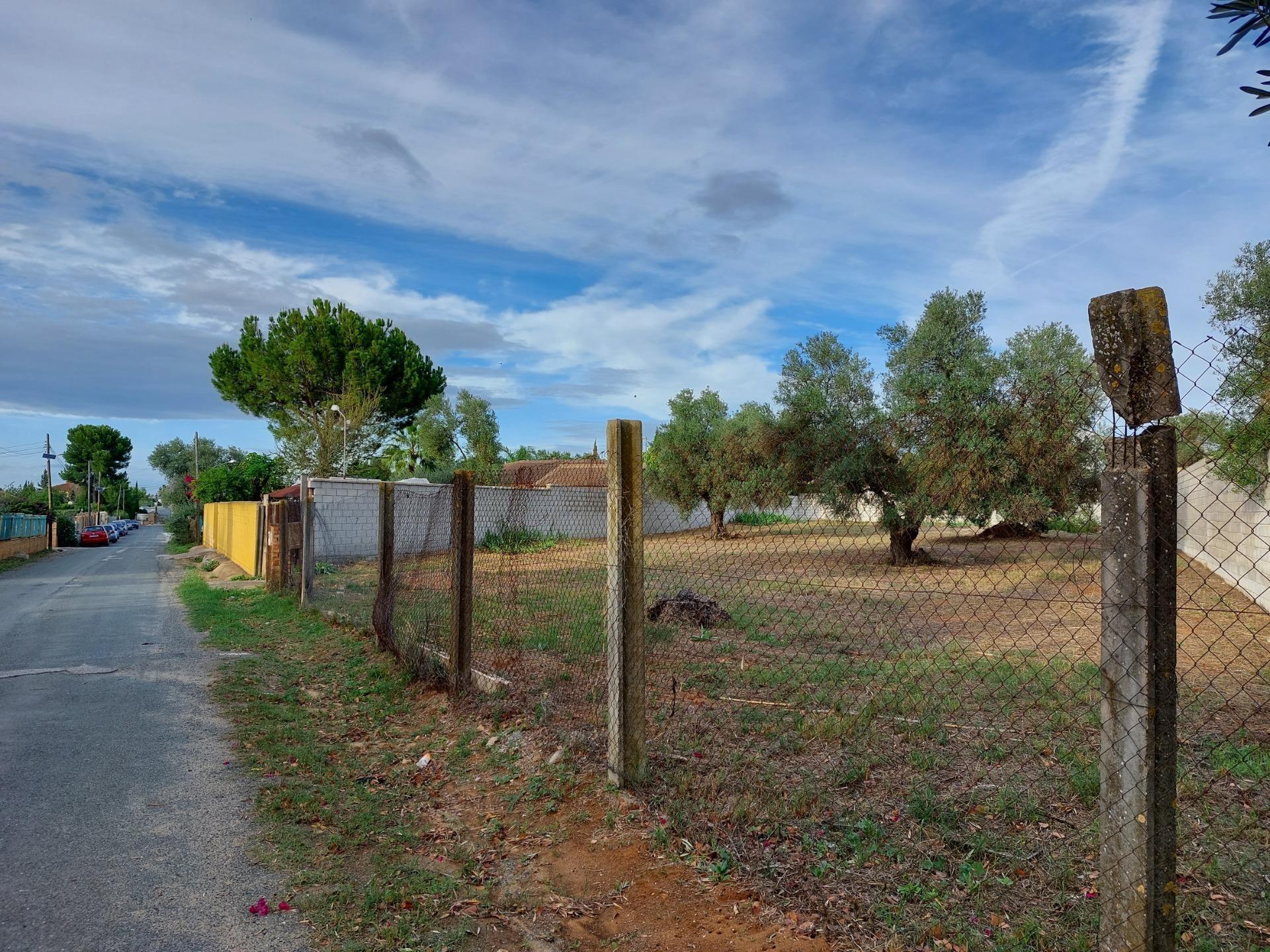 Fincas y solares-Venta-Dos Hermanas-1793318-Foto-6