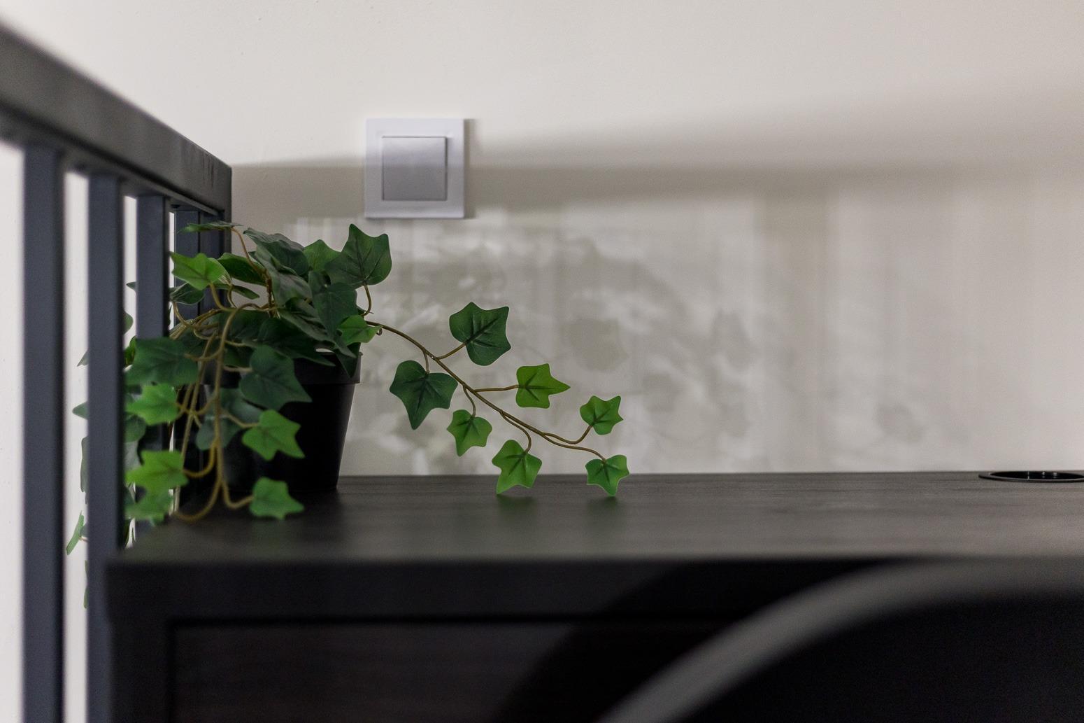 ESTUDIO REFORMADO CON ALTA RENTABILIDAD EN MARXALENES