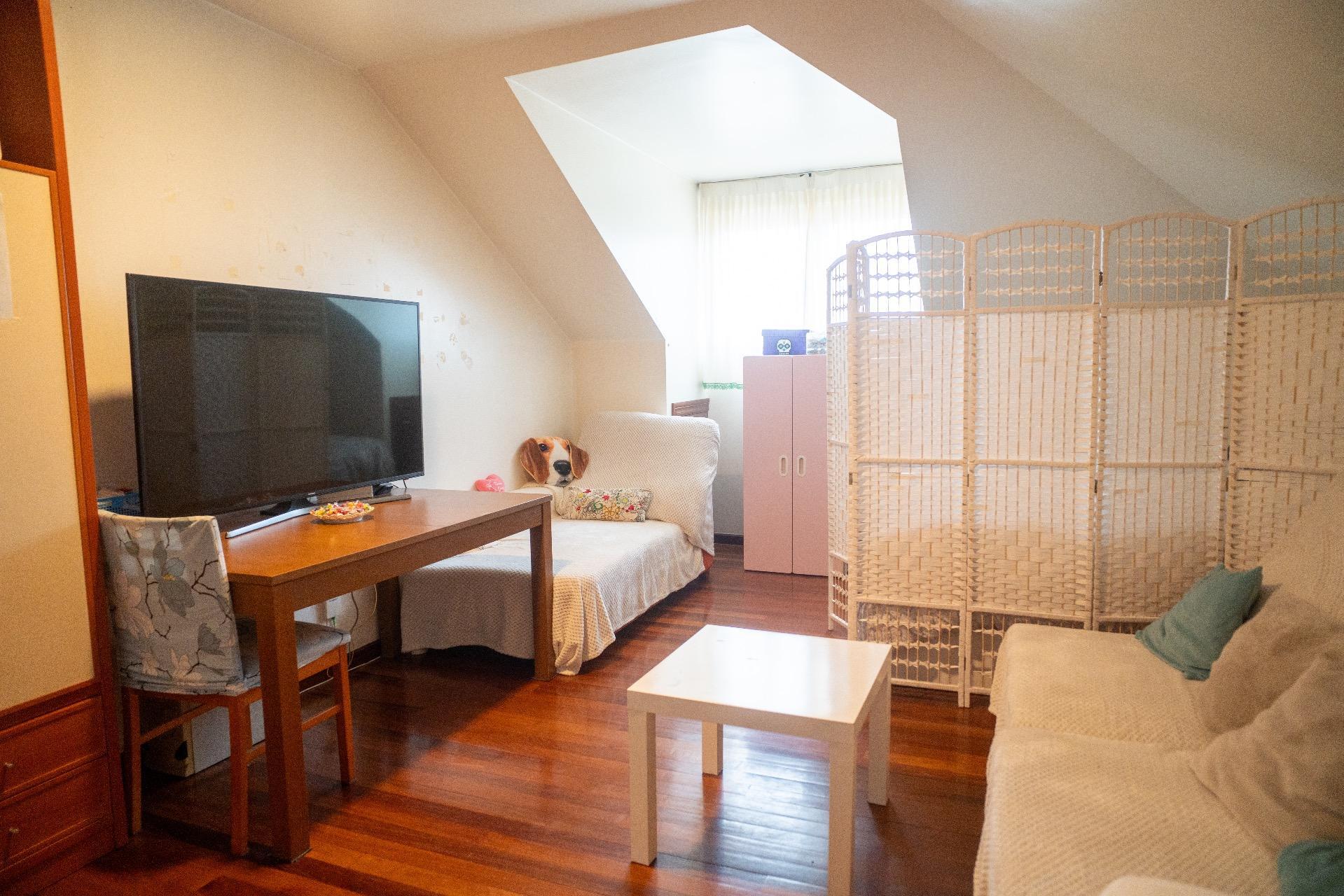 Pisos-Venta-Camargo-2036171-Foto-31