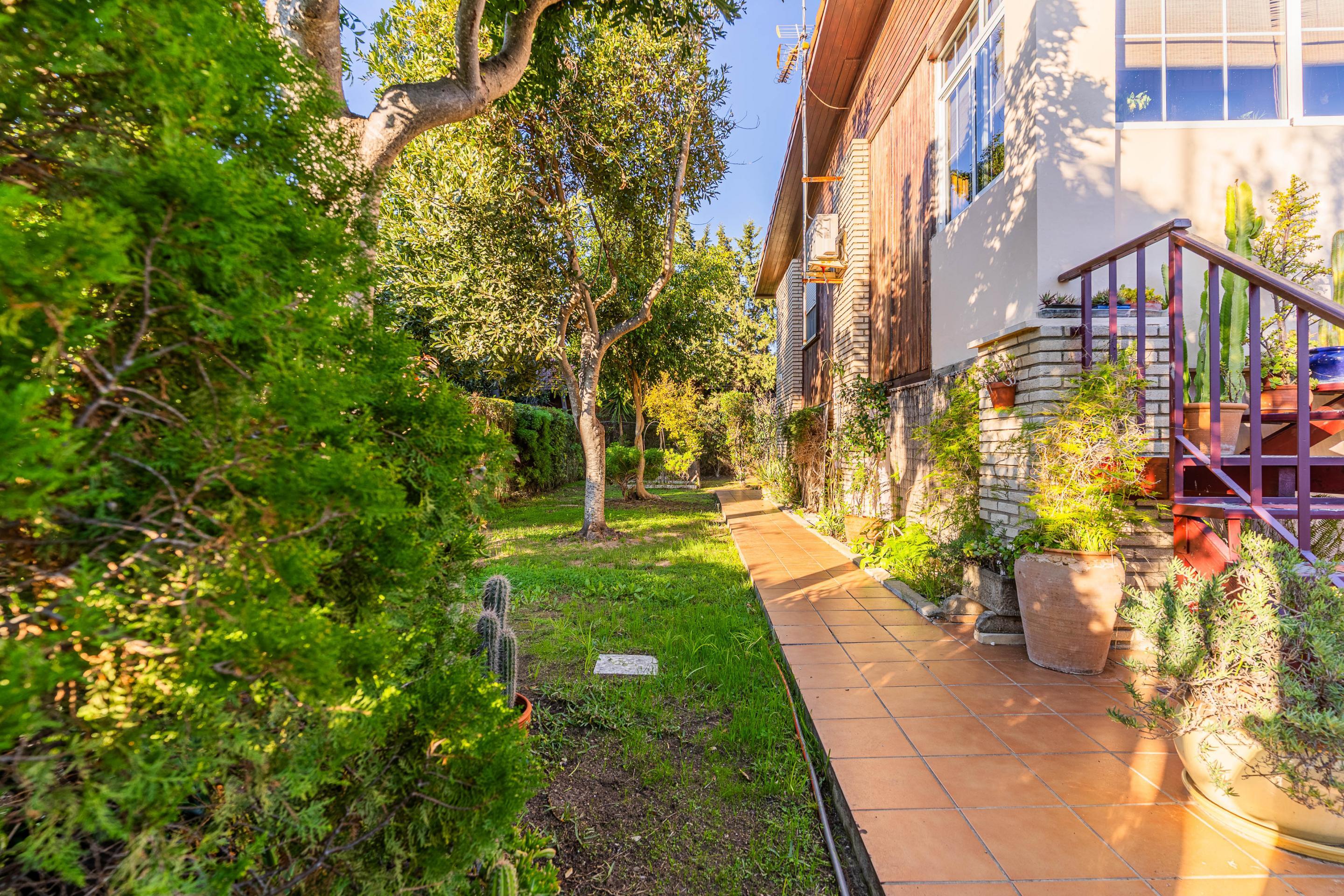 Casas o chalets-Venta-Chiclana de la Frontera-2036159-Foto-4