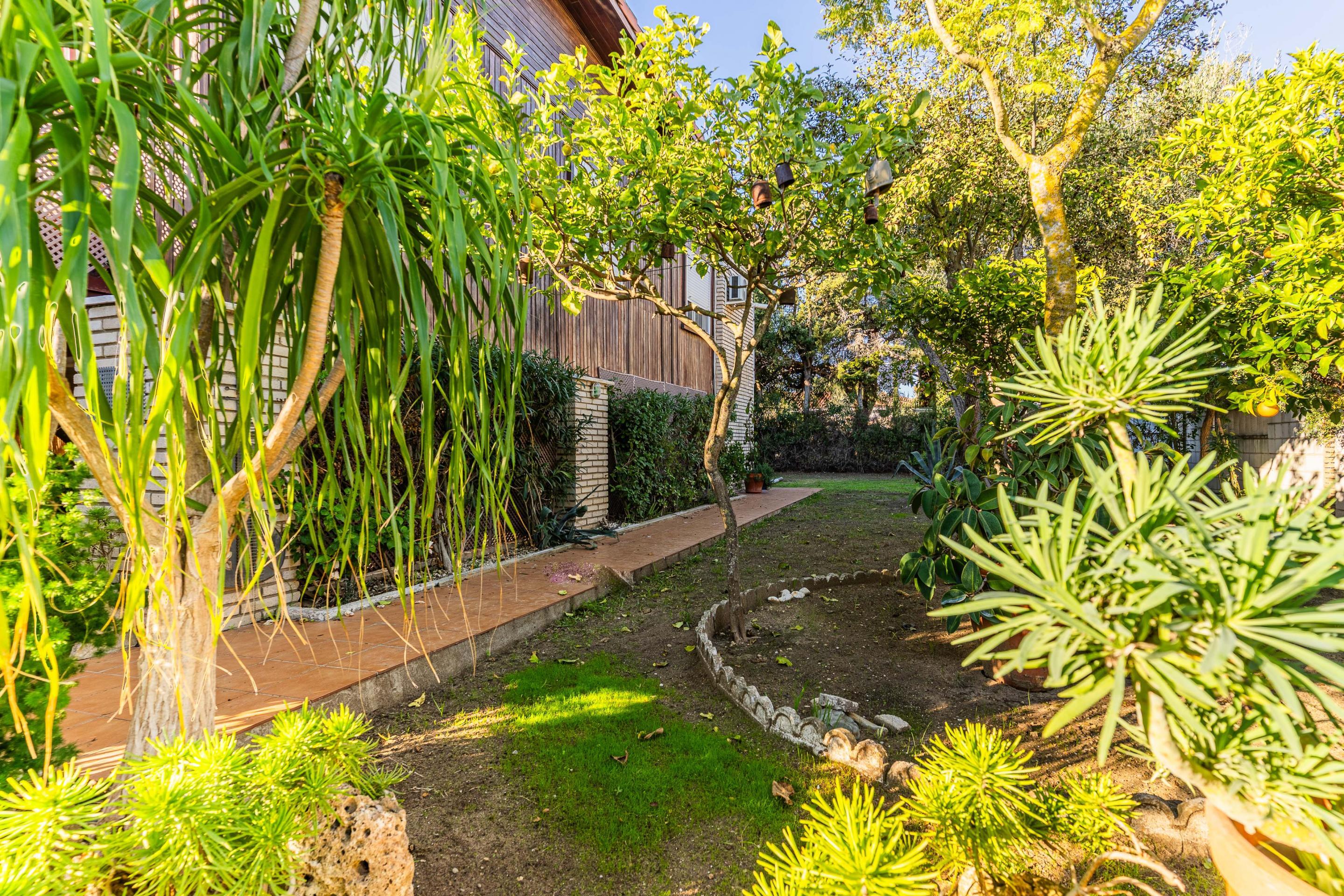 Casas o chalets-Venta-Chiclana de la Frontera-2036159-Foto-10