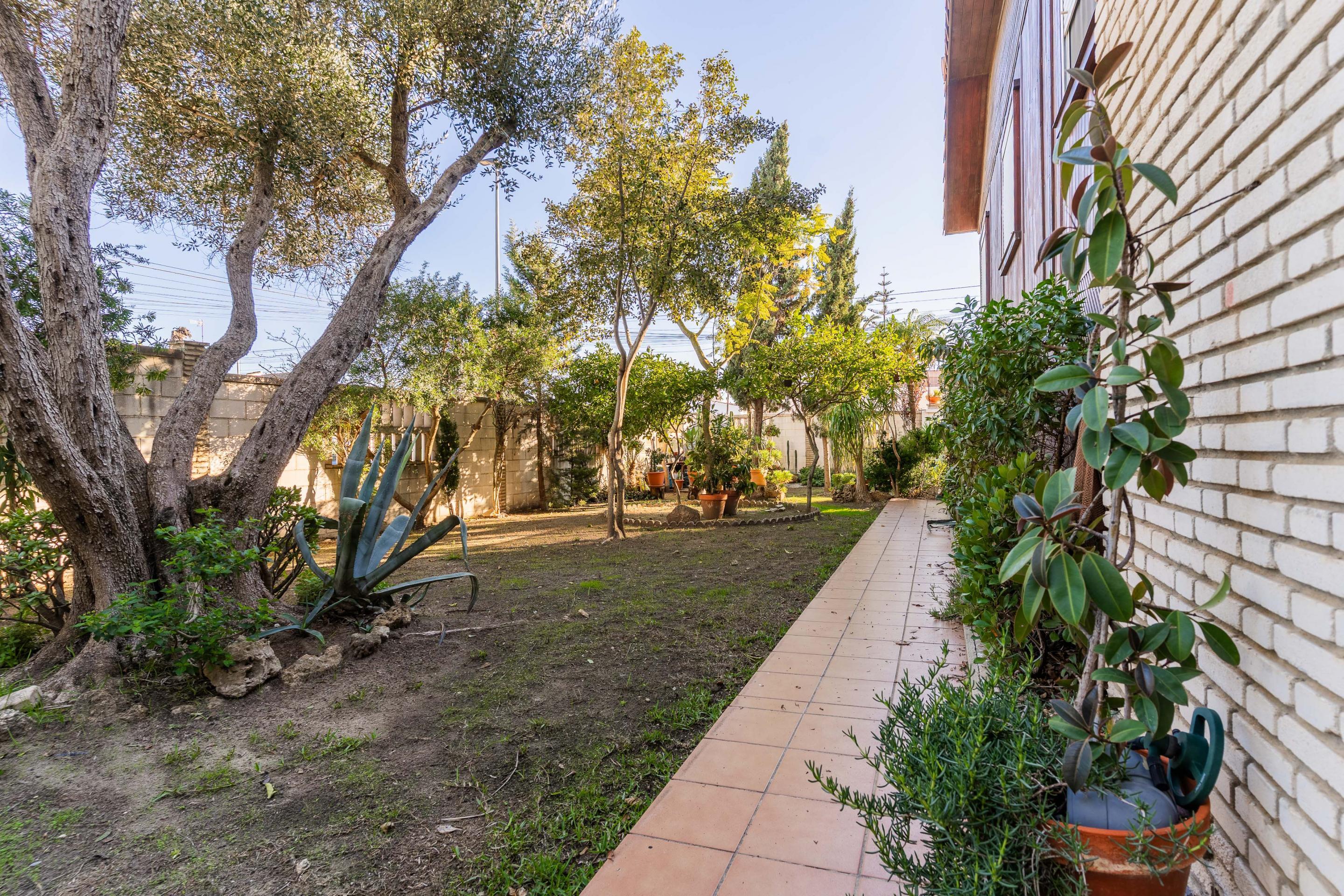 Casas o chalets-Venta-Chiclana de la Frontera-2036159-Foto-15