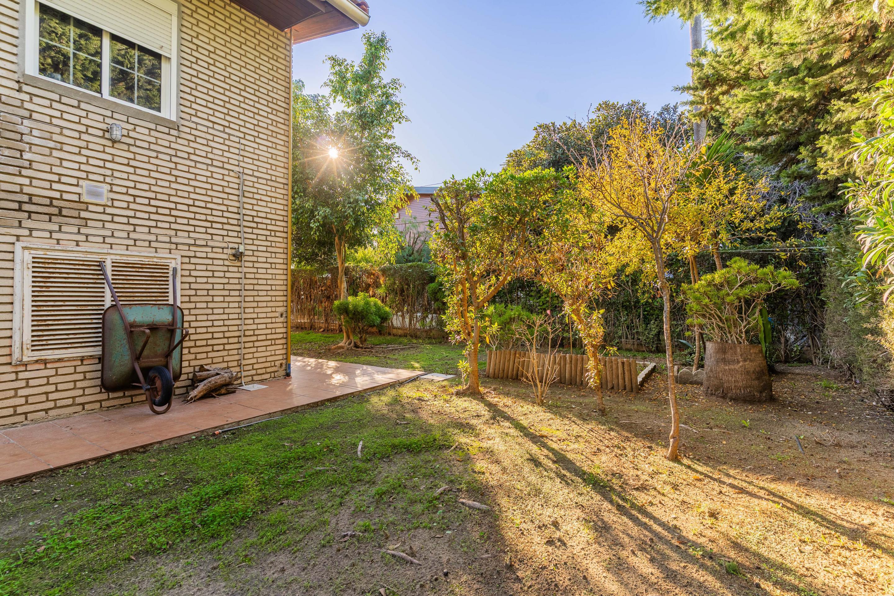 Casas o chalets-Venta-Chiclana de la Frontera-2036159-Foto-19