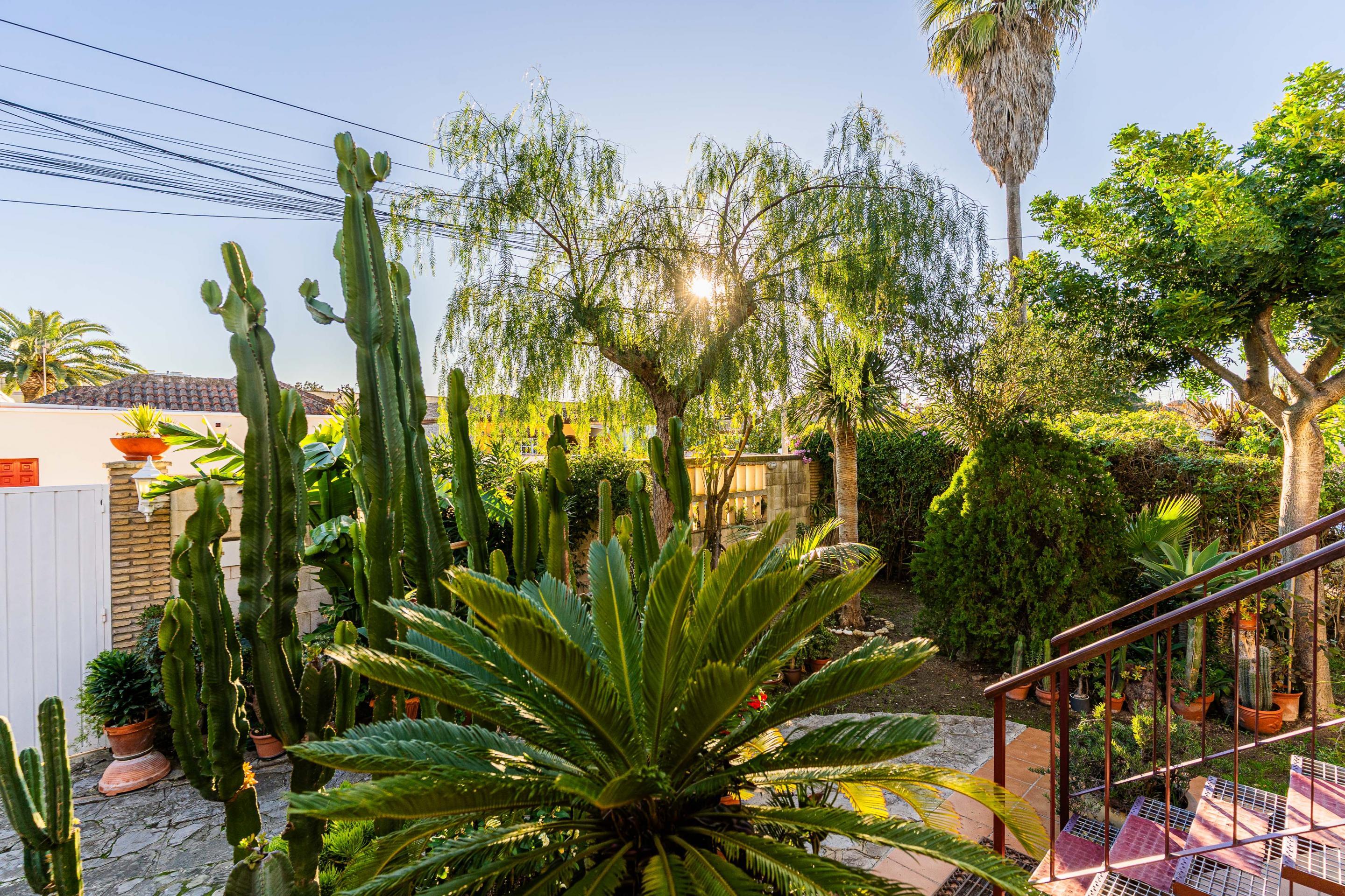 Casas o chalets-Venta-Chiclana de la Frontera-2036159-Foto-34