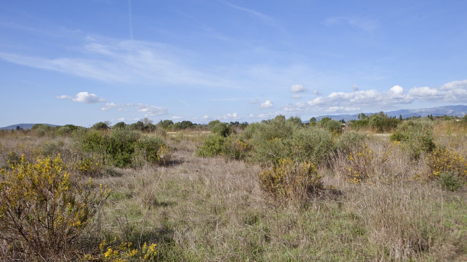 Terreno en Sencelles de 28.000 m2 con licencia de obra y vistas a la Tramuntana