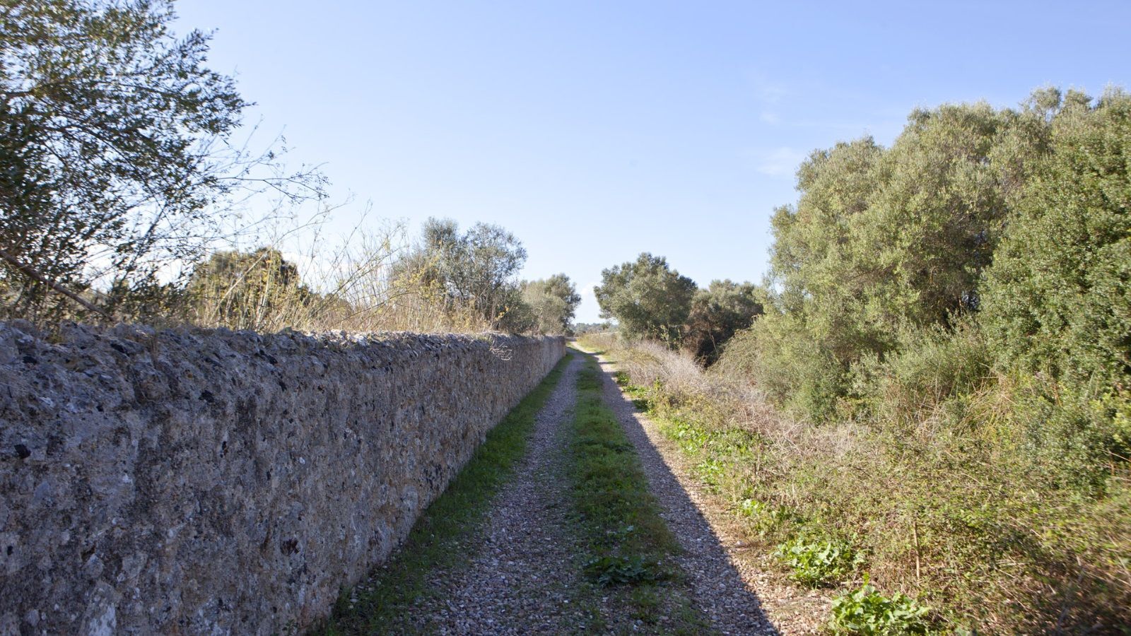 Terreno en Sencelles de 28.000 m2 con licencia de obra y vistas a la Tramuntana