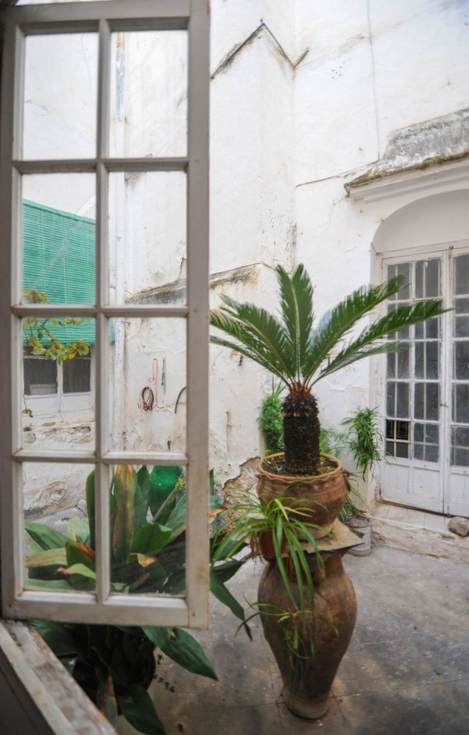 Casas o chalets en Arcos de la Frontera