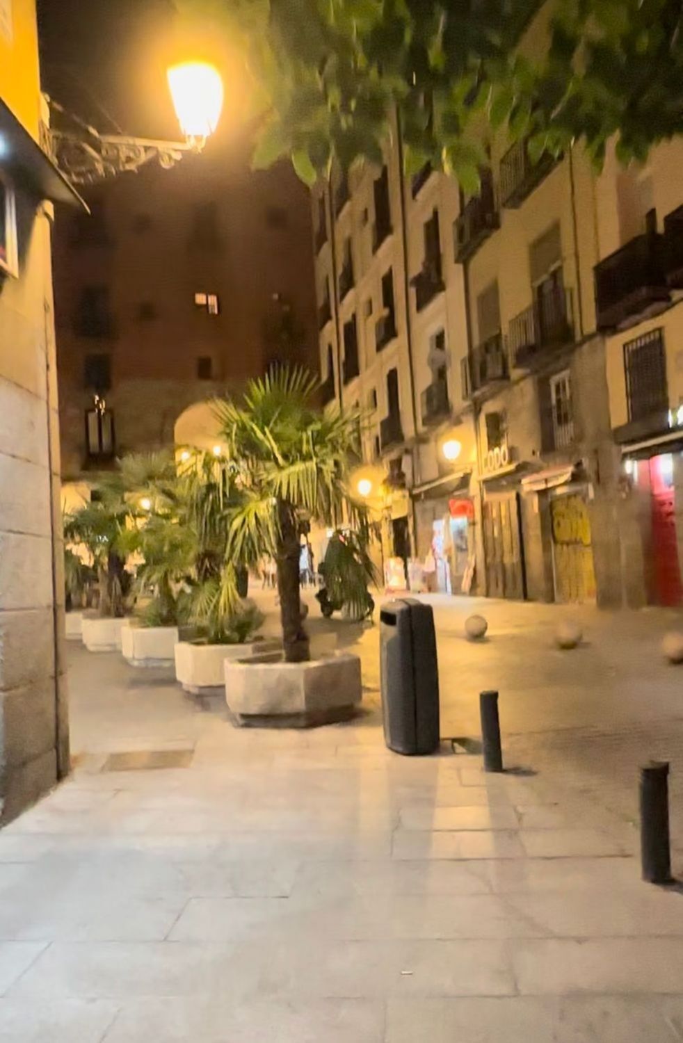 Pisos en Madrid, Palacio