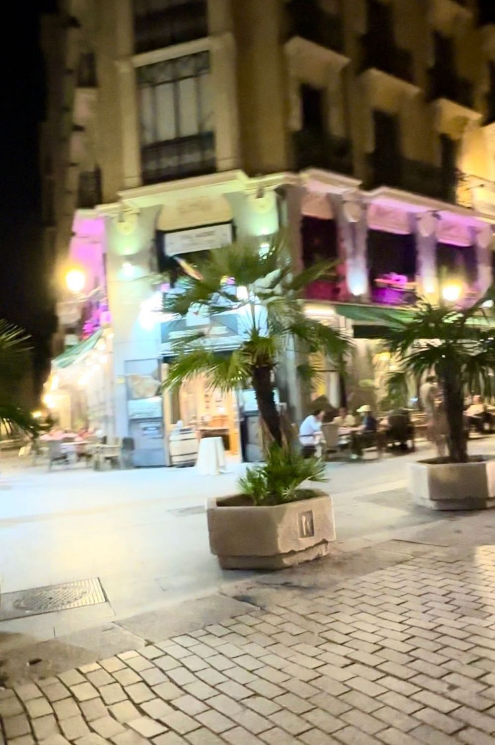 Pisos en Madrid, Palacio