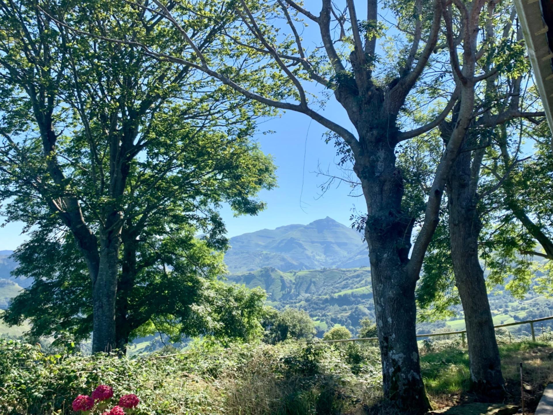 CABAÑA de Piedra Pasiega en San Roque Riomiera, Merilla
