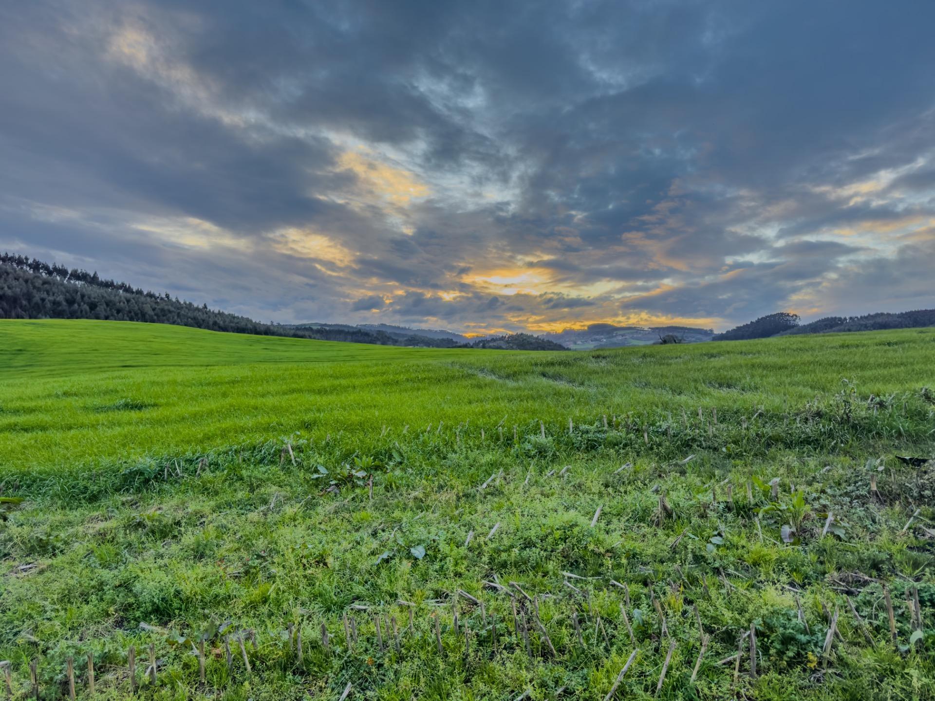 Exclusivo chalet en San Mamés de Meruelo con vistas espectaculares