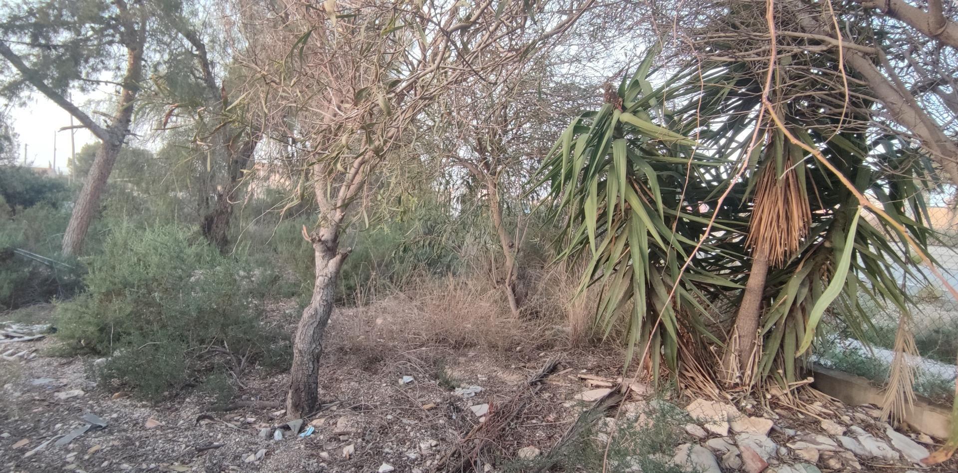 Terreno en Peña de Las Águilas