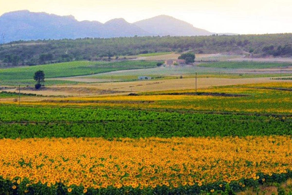 Casa en calle Les Eres, 19