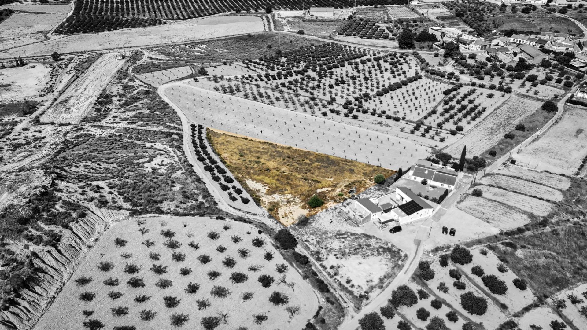 Terreno en La Tercia