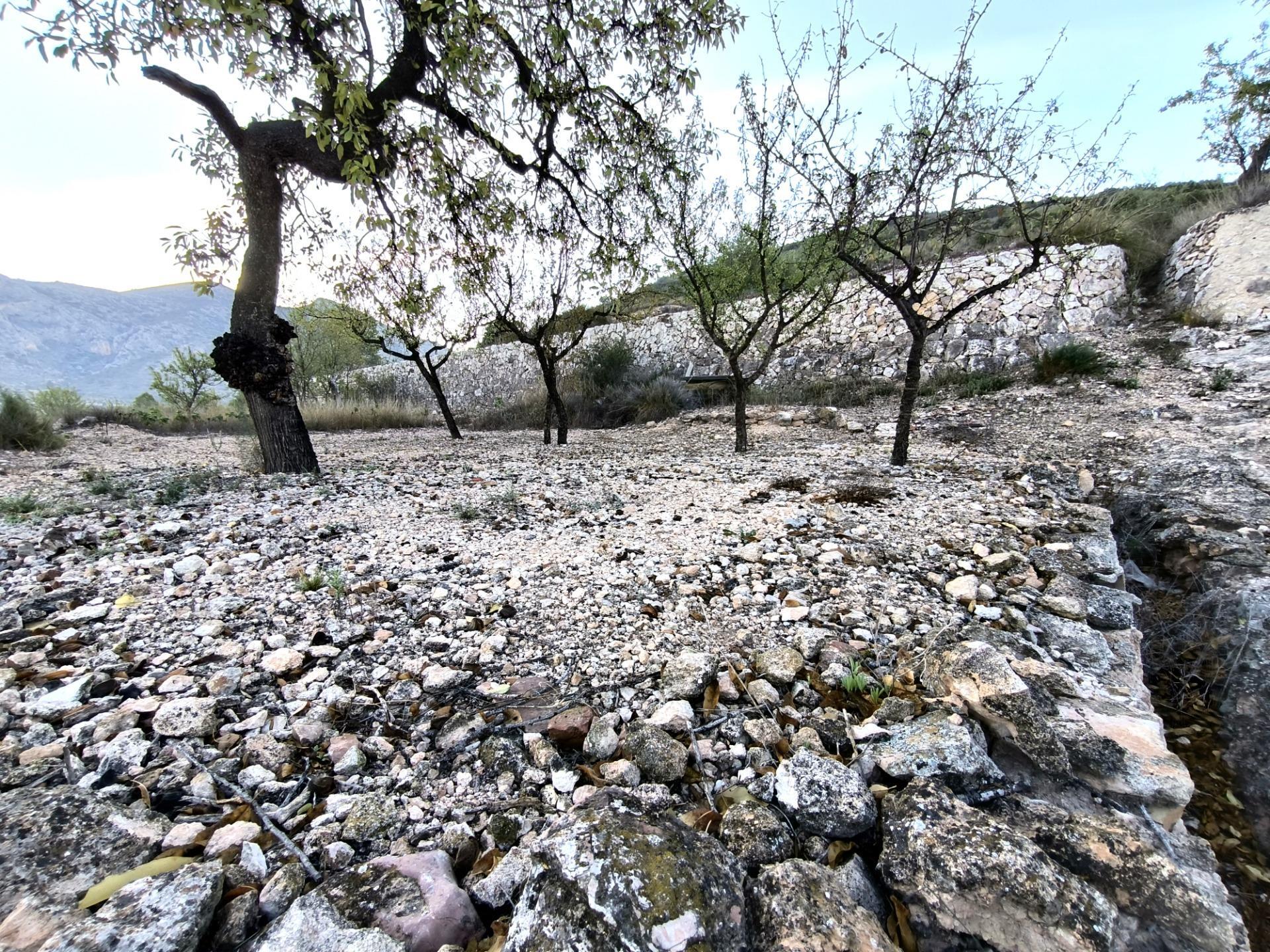 Casa Adosada  en la Algueña (Alicante)