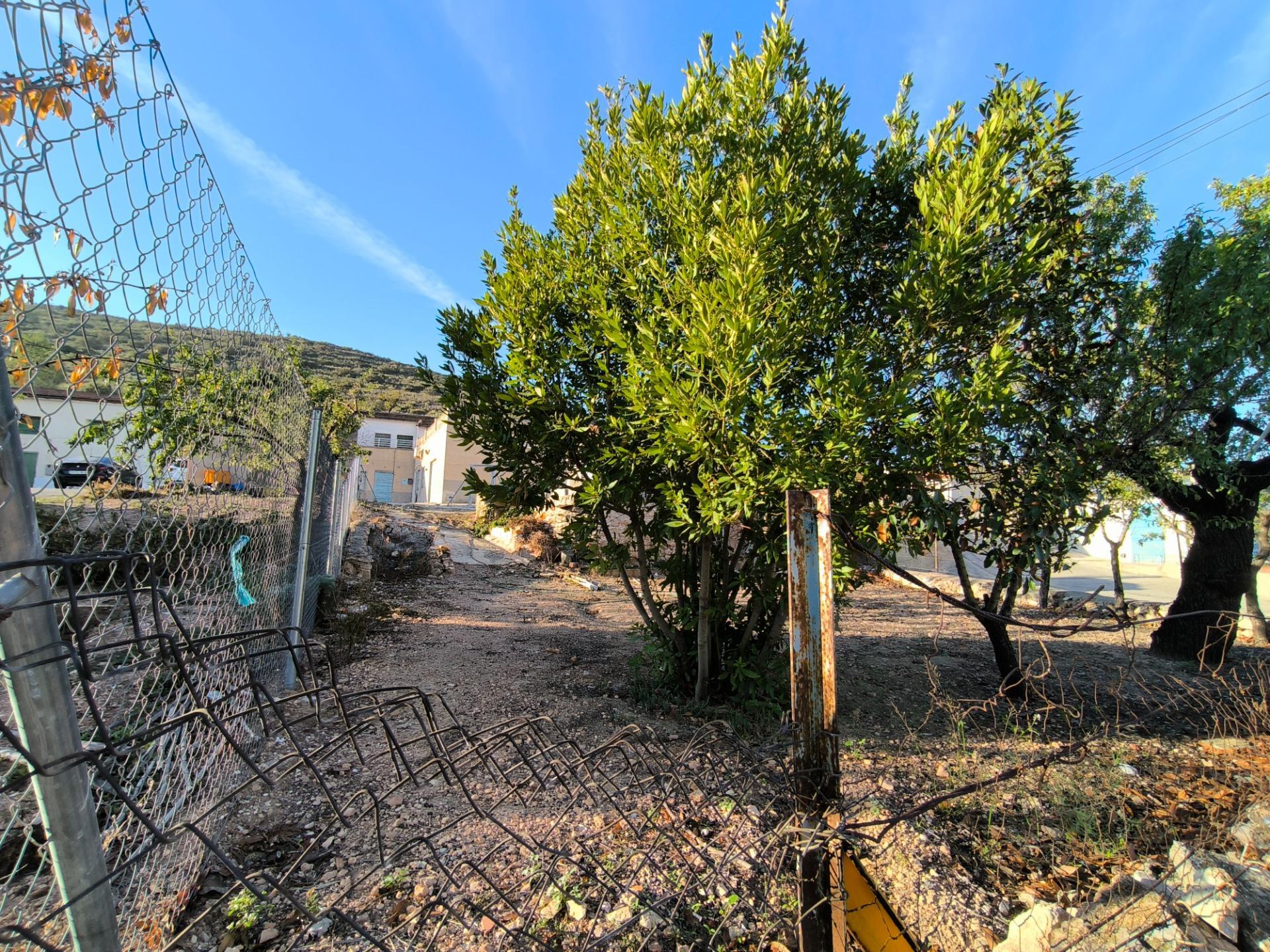 Casa Adosada  en la Algueña (Alicante)