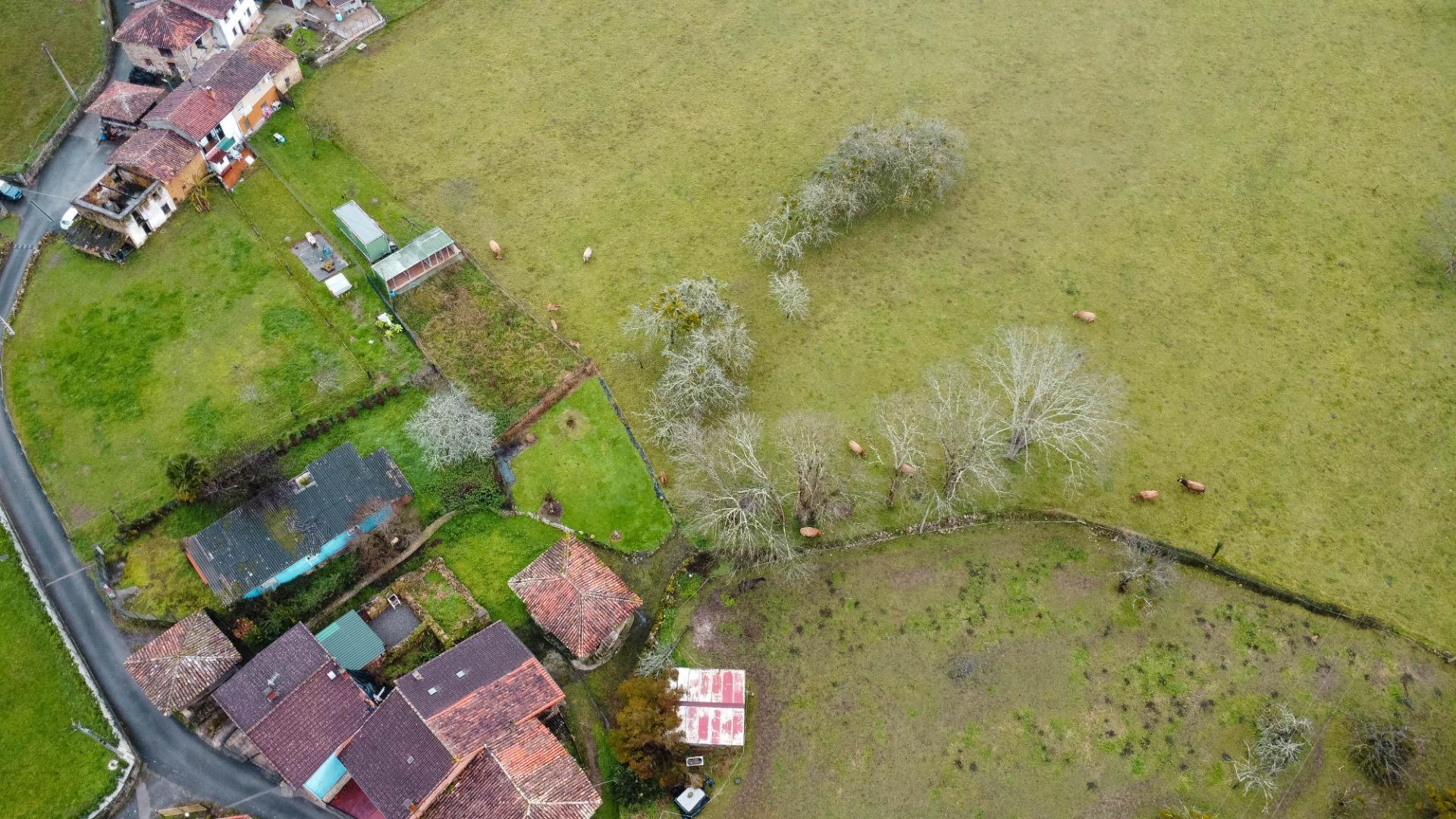 Casas o chalets-Venta-Parres-2041011-Foto-52