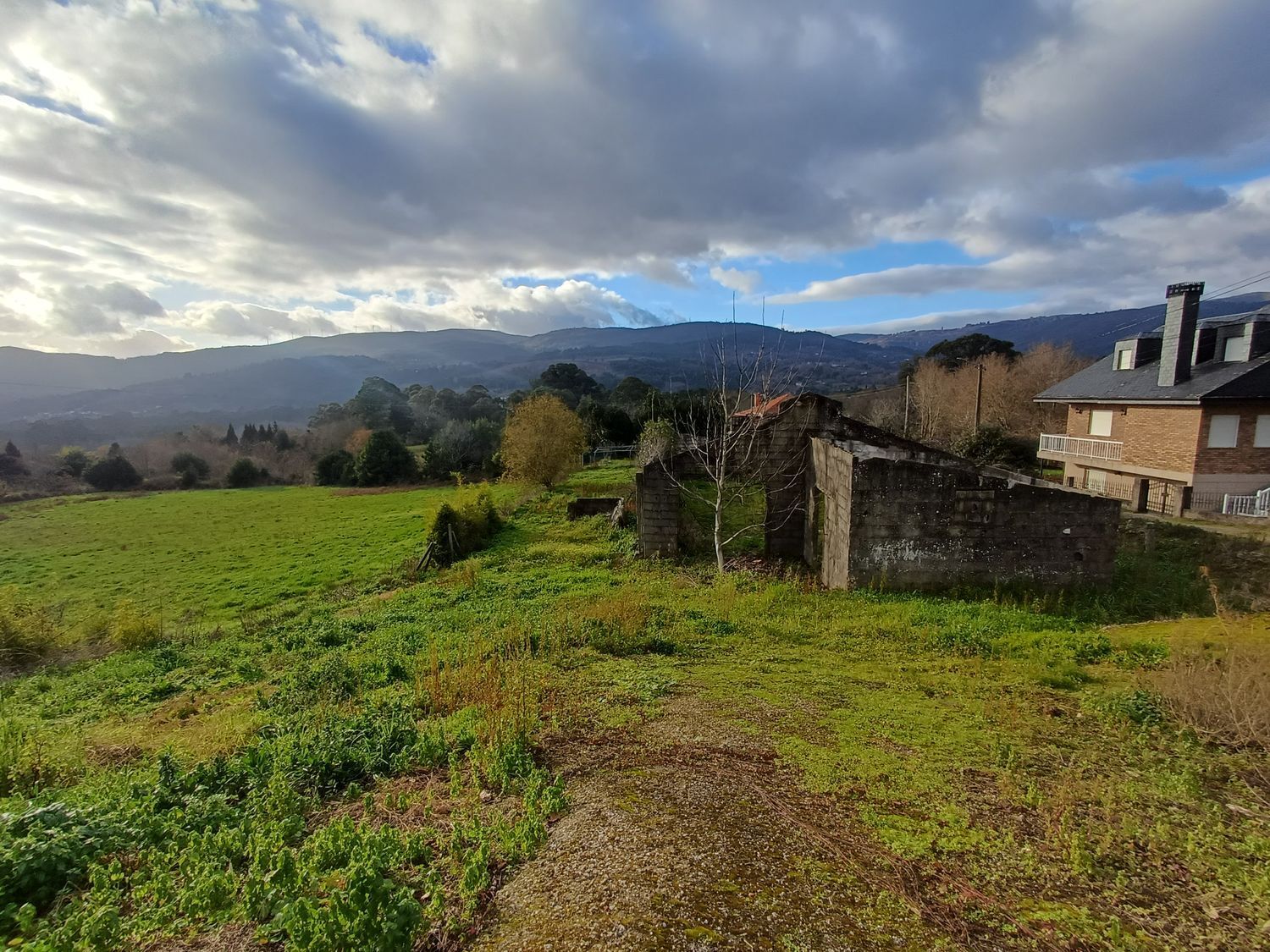 Fincas y solares-Venta-A CaÃ±iza-2041065-Foto-4